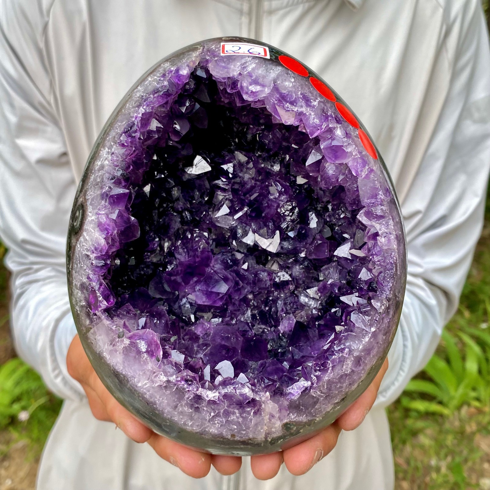 5.7LB Natural amethyst Dinosaur egg Quartz Crystal specimen healing