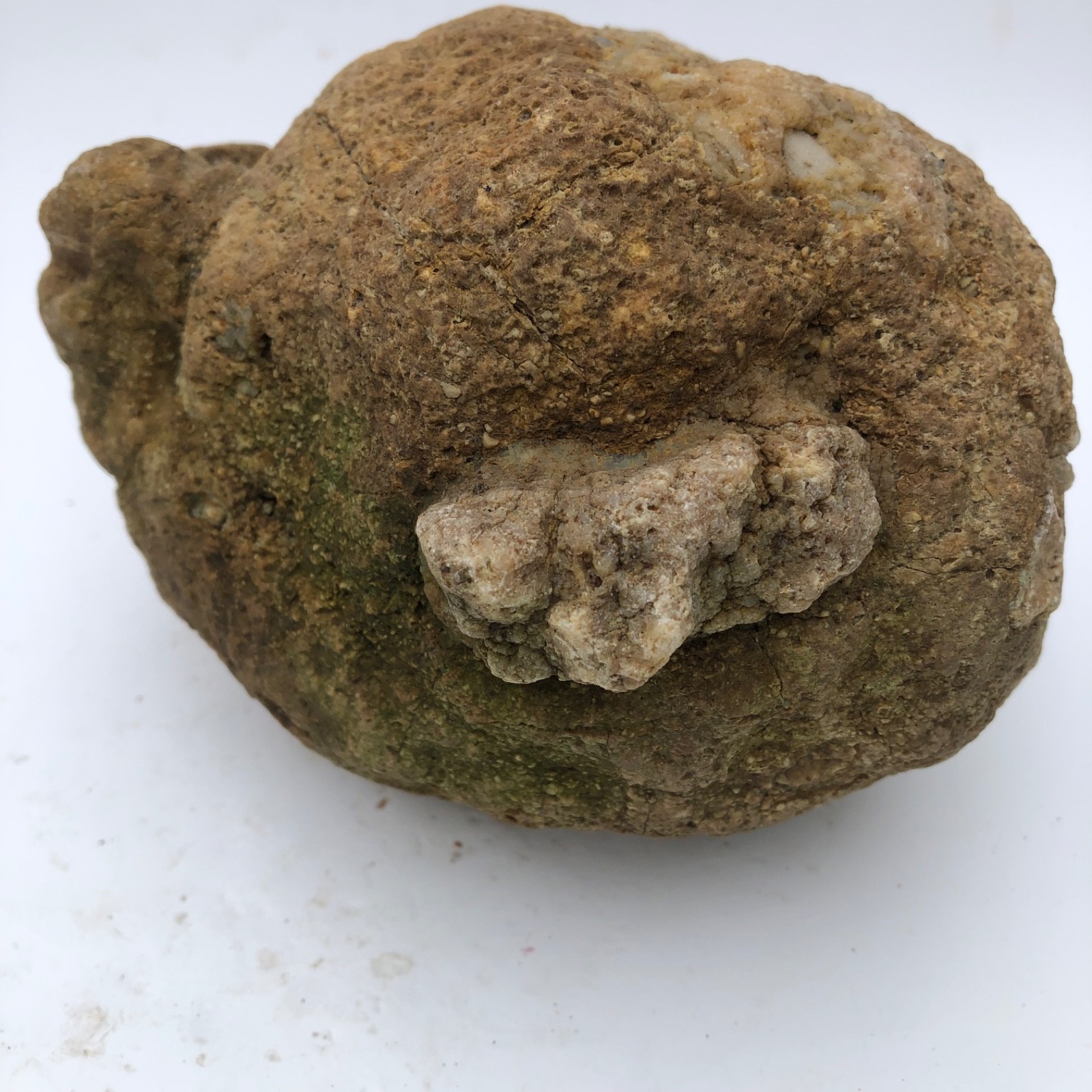 4 lb Unopened Kentucky Geode Rattler Break Your Own Hand Picked Natural Quartz