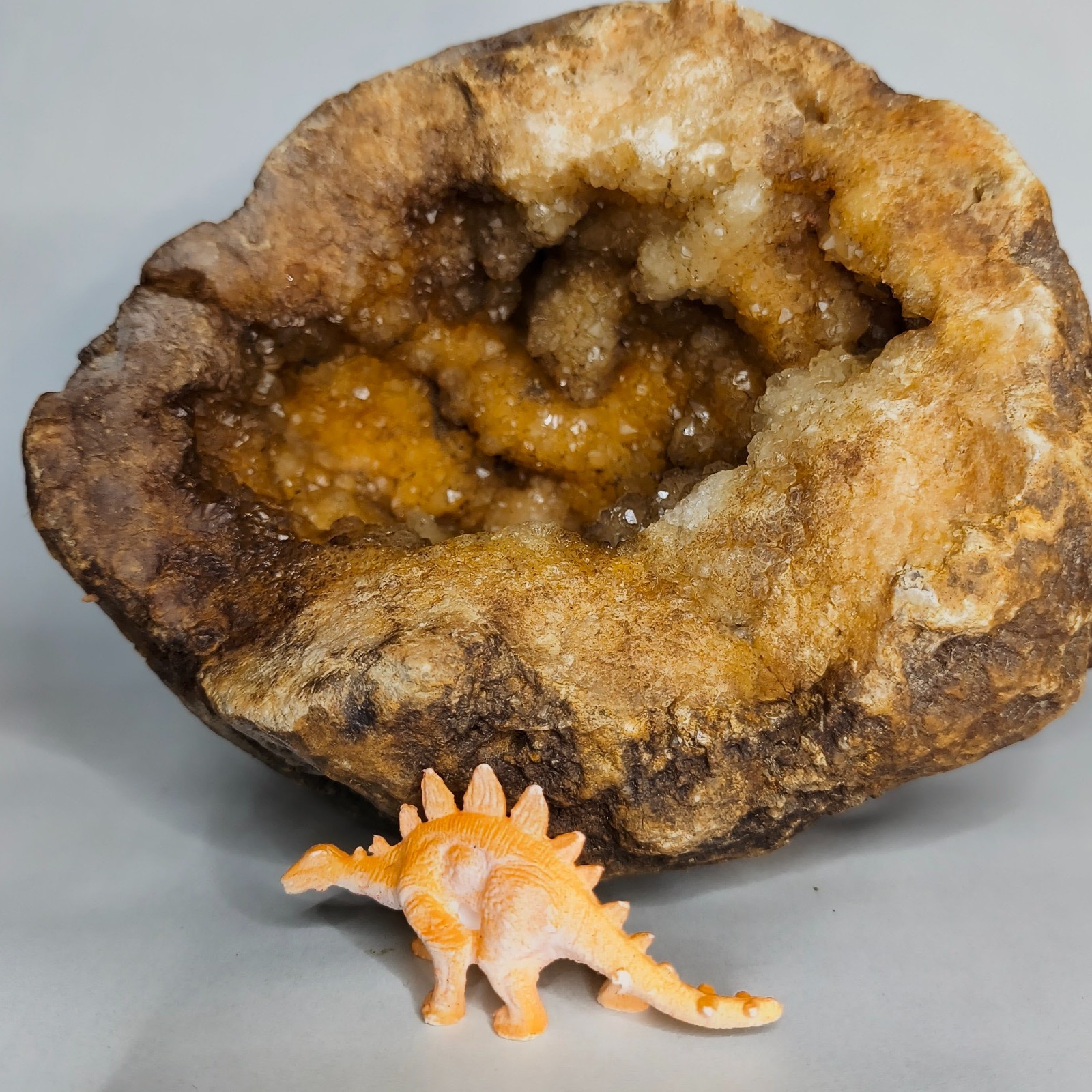 5 lb 3 oz Open KY Geode Golden Crystal Cavity Large Display Specimen Collectible