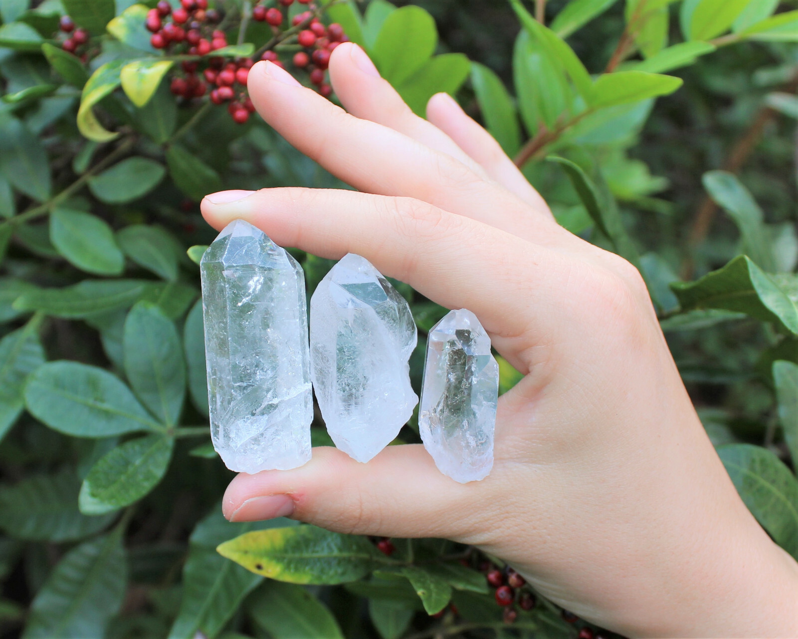 5 lb Natural Clear Quartz Crystal Points Wholesale Bulk Lot (Healing Crystals)