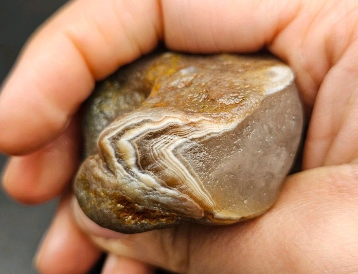 Lake Superior Agate Brown, Red And White Bander Nodule 3.21 OZ