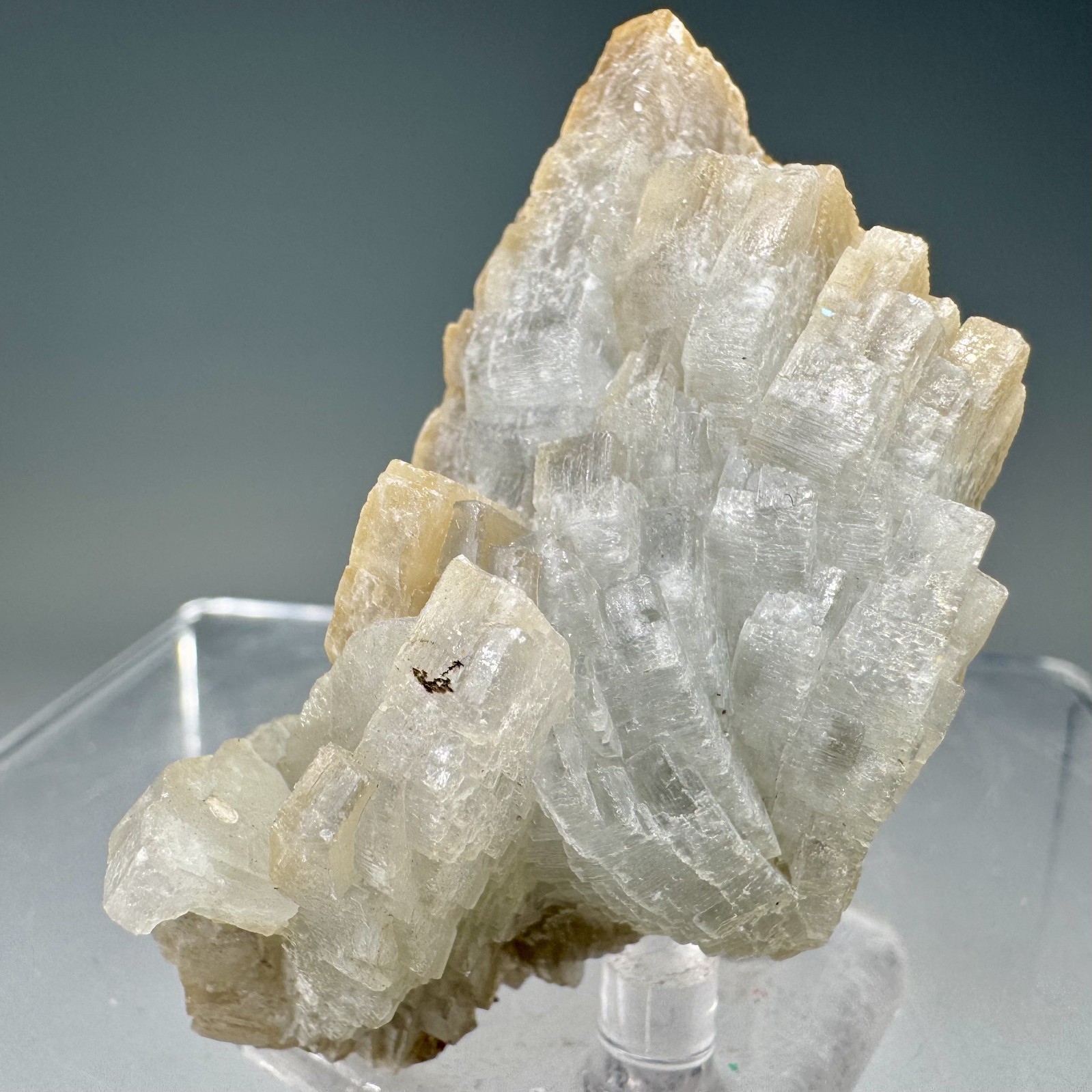 Fine Baryte Crystal Group: Paga No. 1 Mine, Cartersville, Georgia- Classic!!