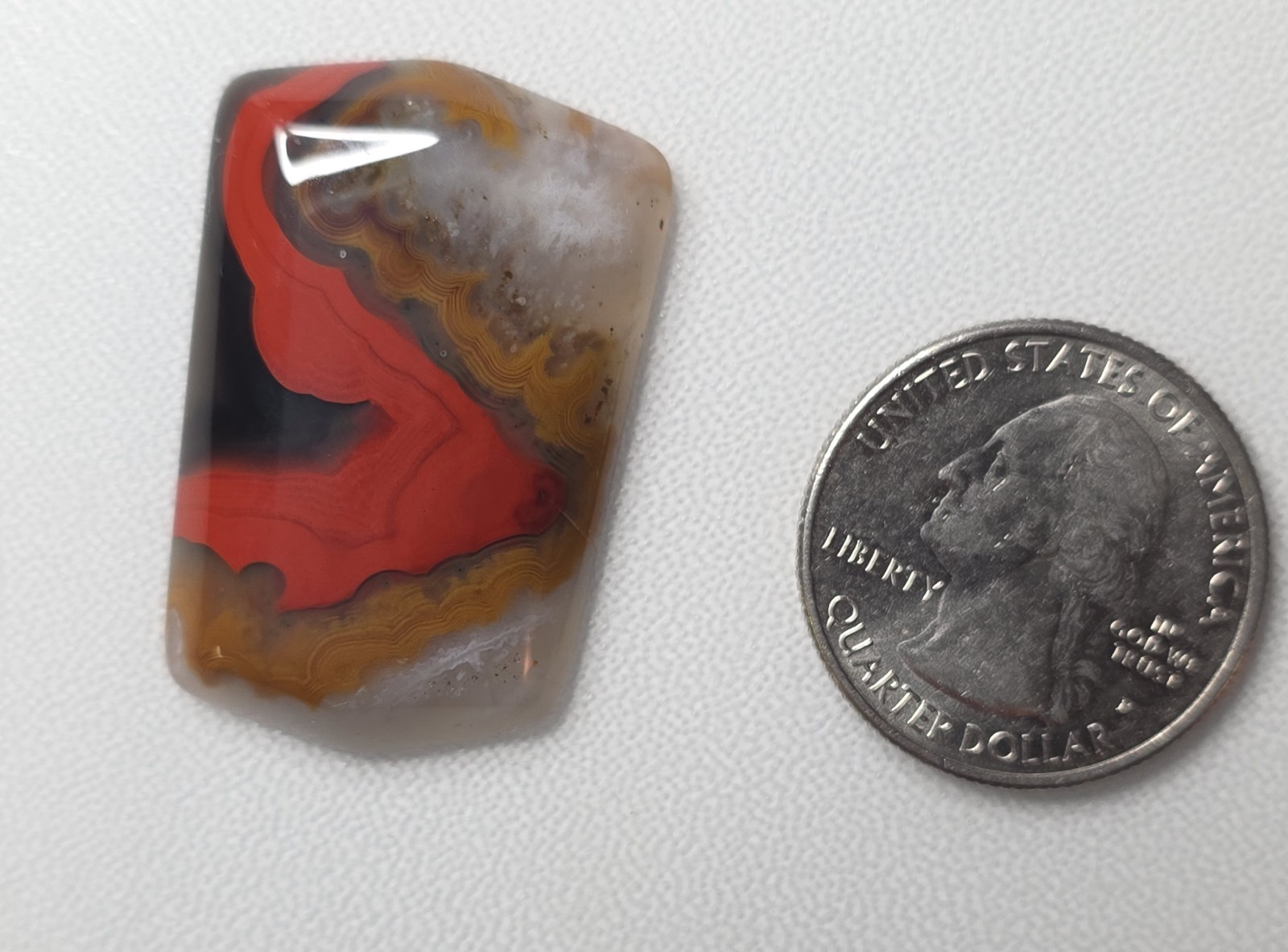 Rare Red Black Tan Clear Banded Kentucky Agate Cabochon Ready to Set #C-13