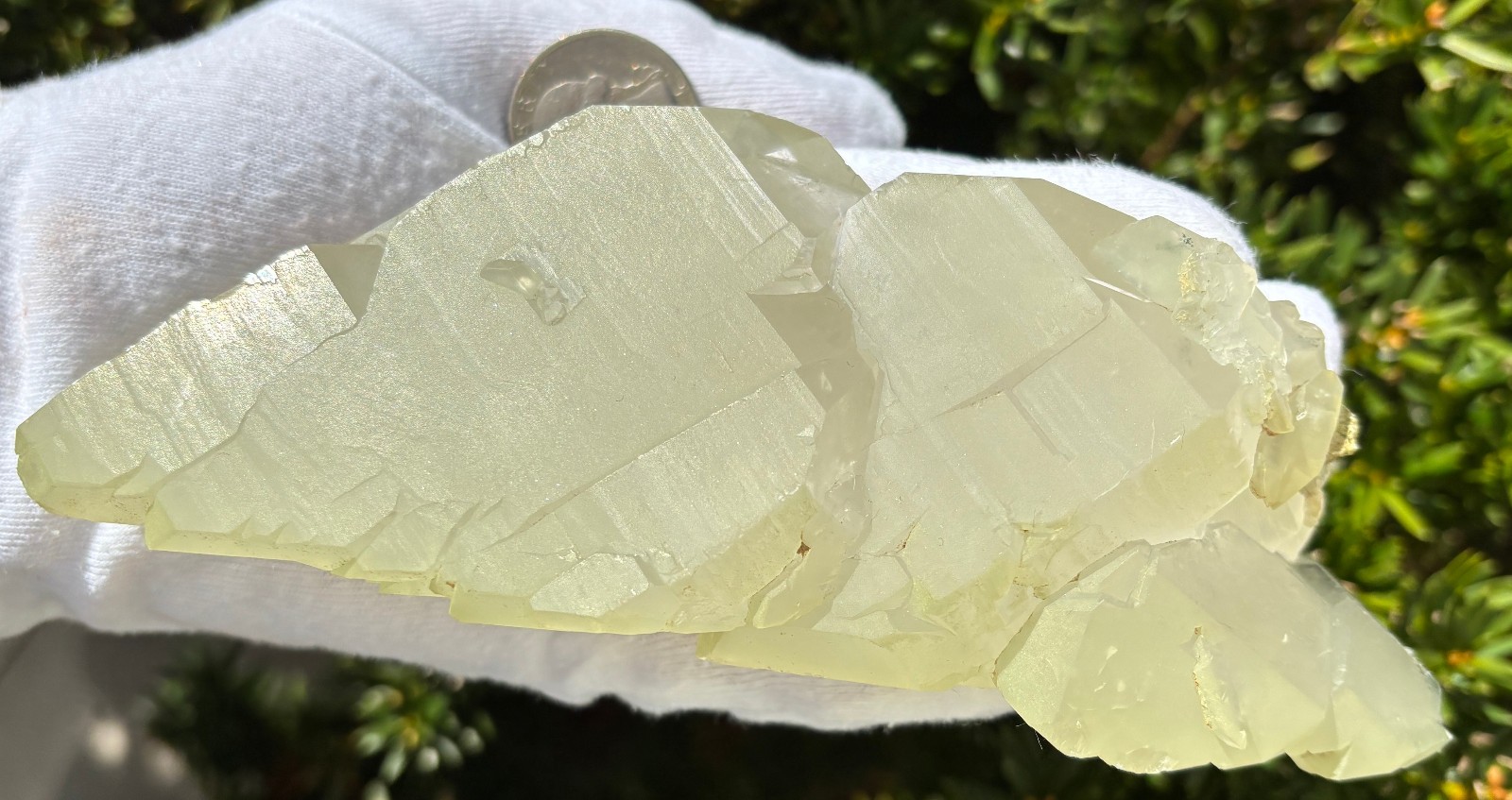 USA SALE SEE VIDEO 479g 1LB+ 6.1″ LARGE ELESTIAL EPIDOTE QUARTZ CRYSTAL SPECIMEN