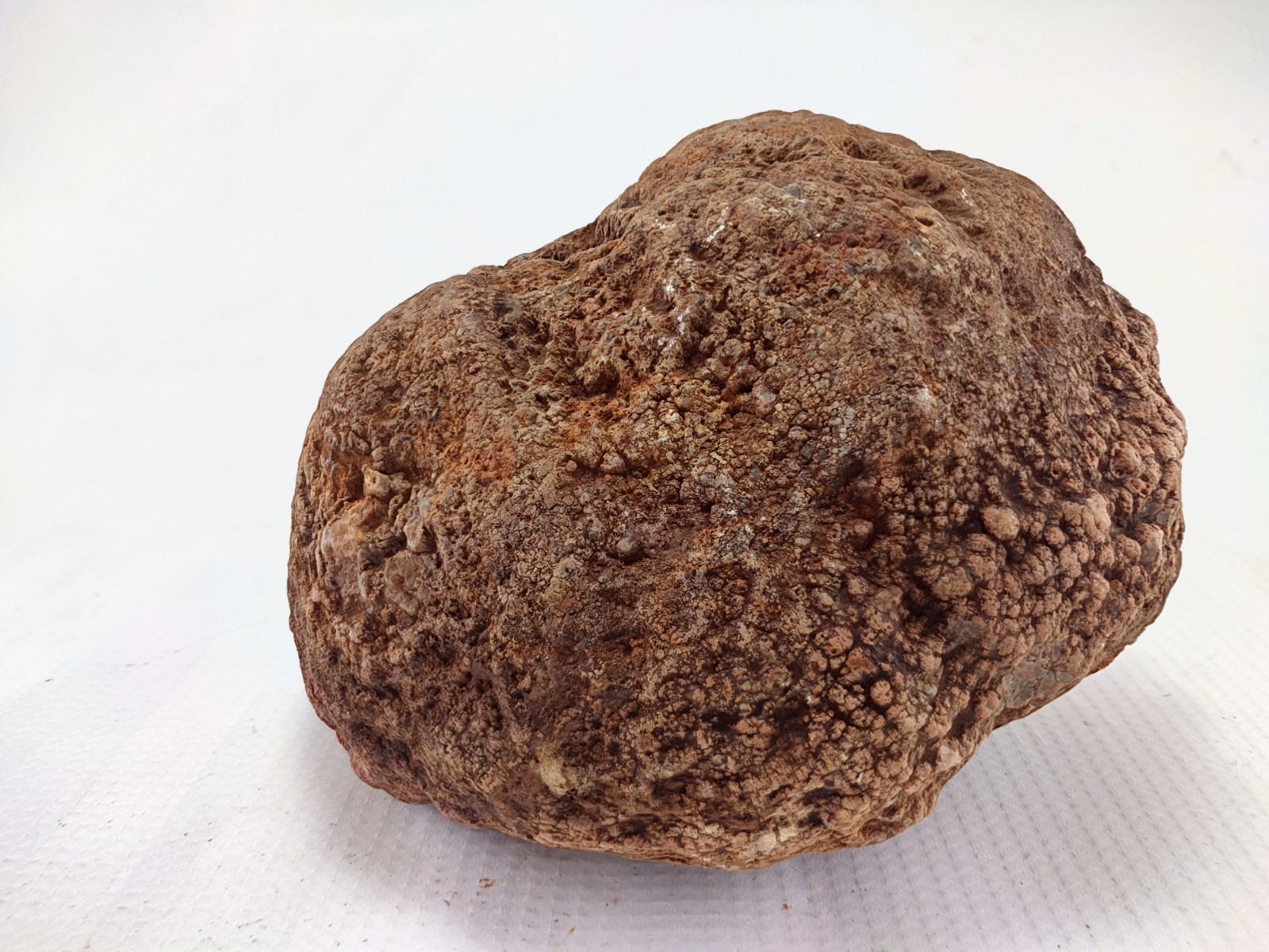 5.75″ Unopened Geode Localized Red Exterior KY Quartz Crystal 5 LB Non Rattler