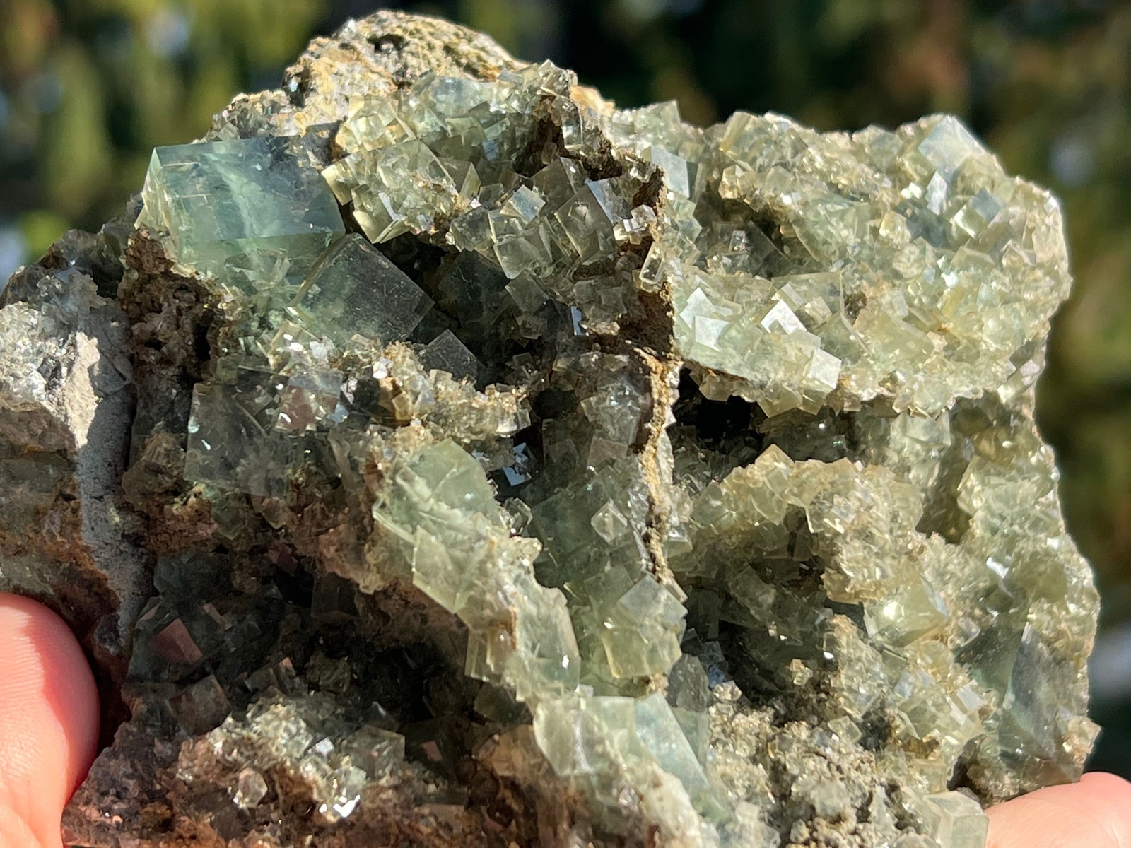 Xianghualing Fluorite Cubes on Matrix – from Hunan, China