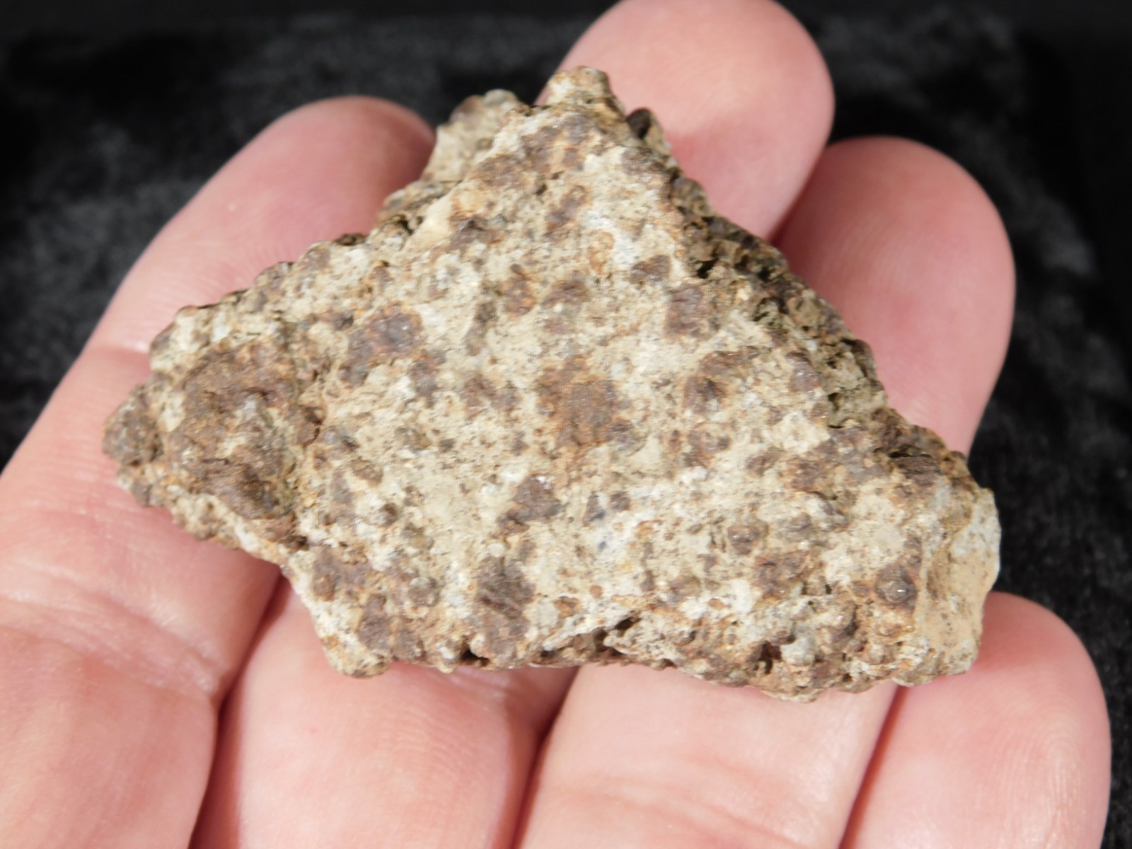 Classified NWA 8245 METEORITE Spots of Dark Fusion Crust! Erfoud, Morocco 51.6gr