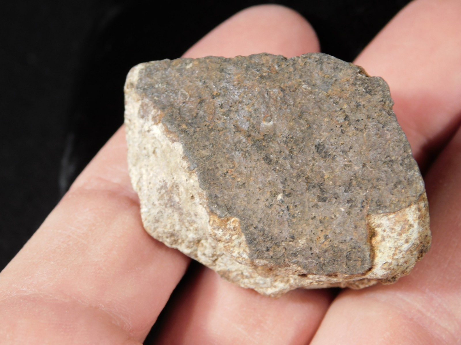 Classified NWA 8245 METEORITE 100% Natural FELL on Erfoud, Morocco 68.0gr