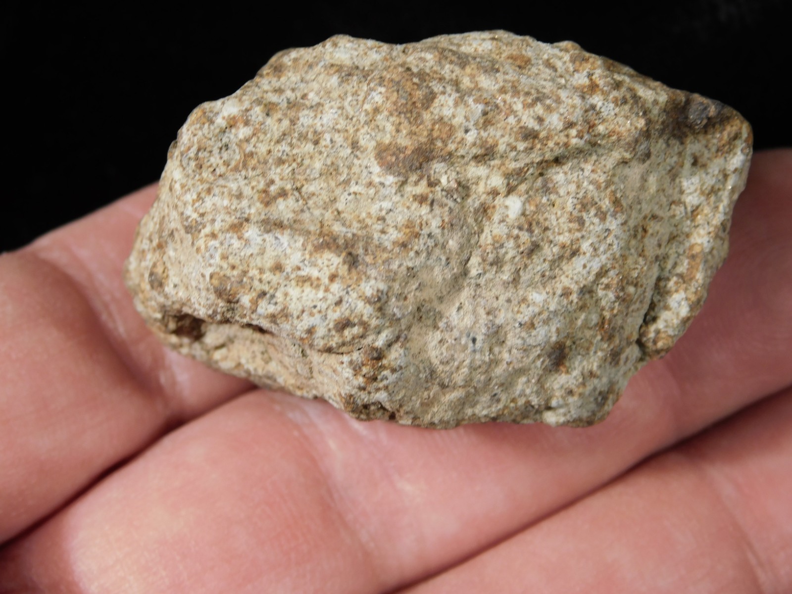 Classified NWA 8245 METEORITE 100% Natural FELL on Erfoud, Morocco 68.0gr