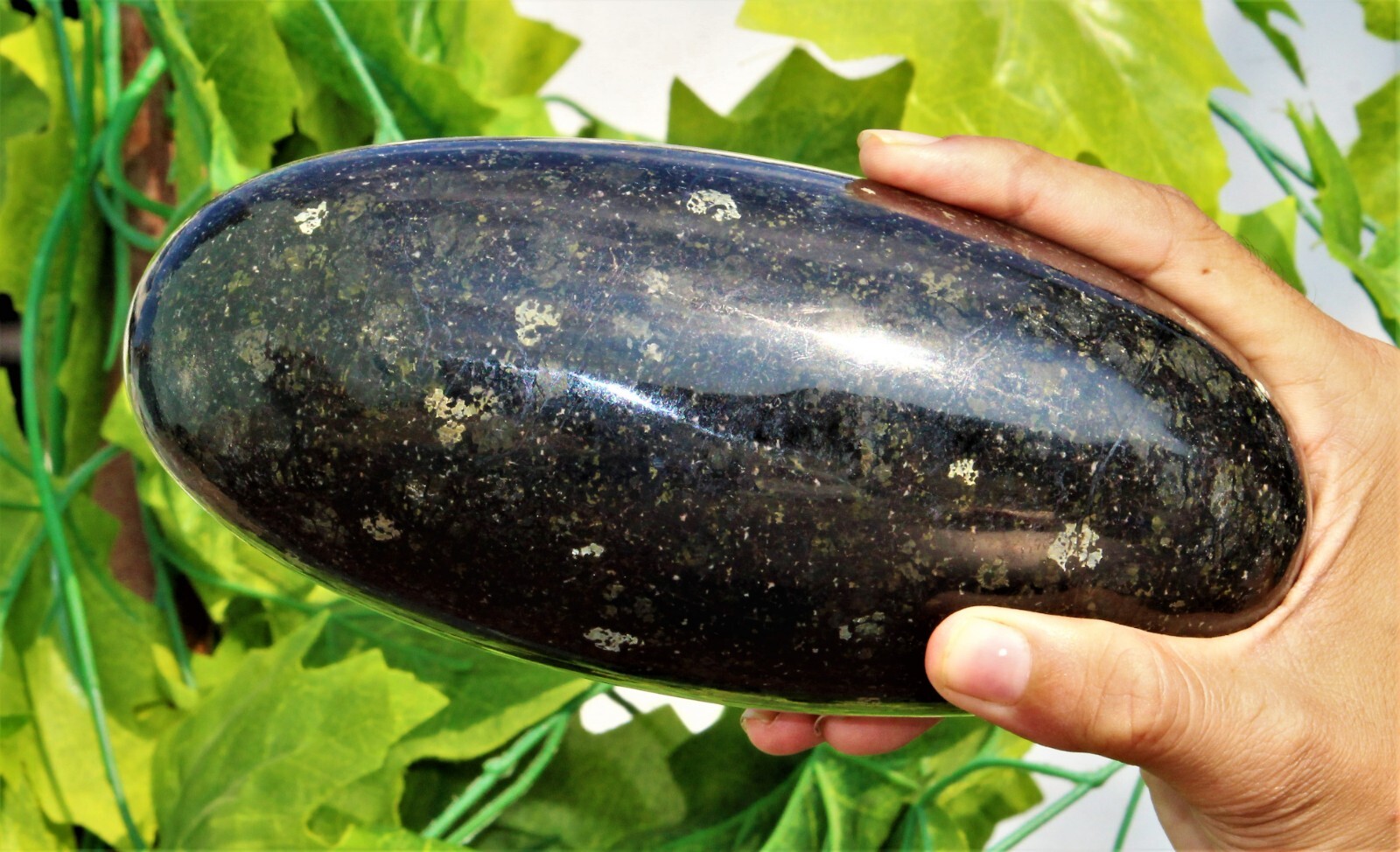 185MM Black Nuummite Crystal Healing Energy Reiki Aura Metaphysical Stone Lingam