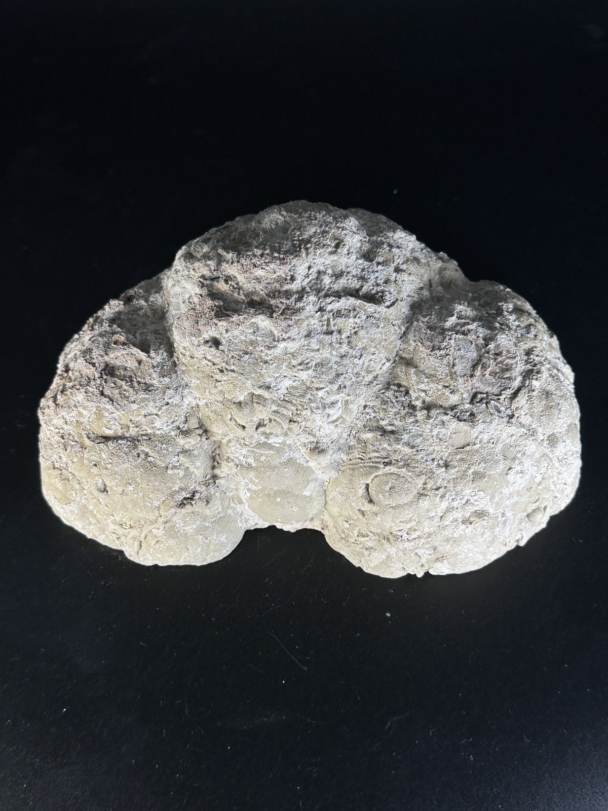 Buchanan Ranch Triple Thunderegg Polished Agate Geode 5.25”