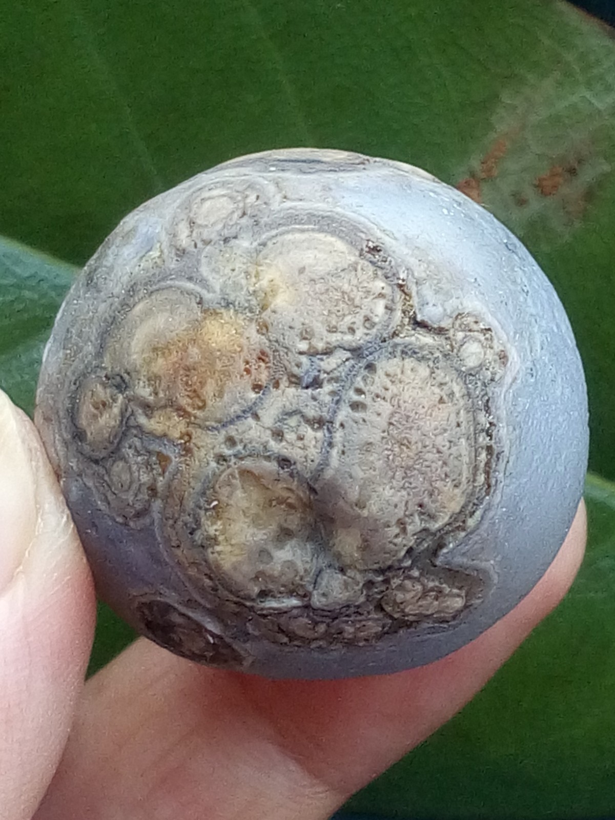 36mm Natural agate Gobi agate eye agate stone collection Landscape stone