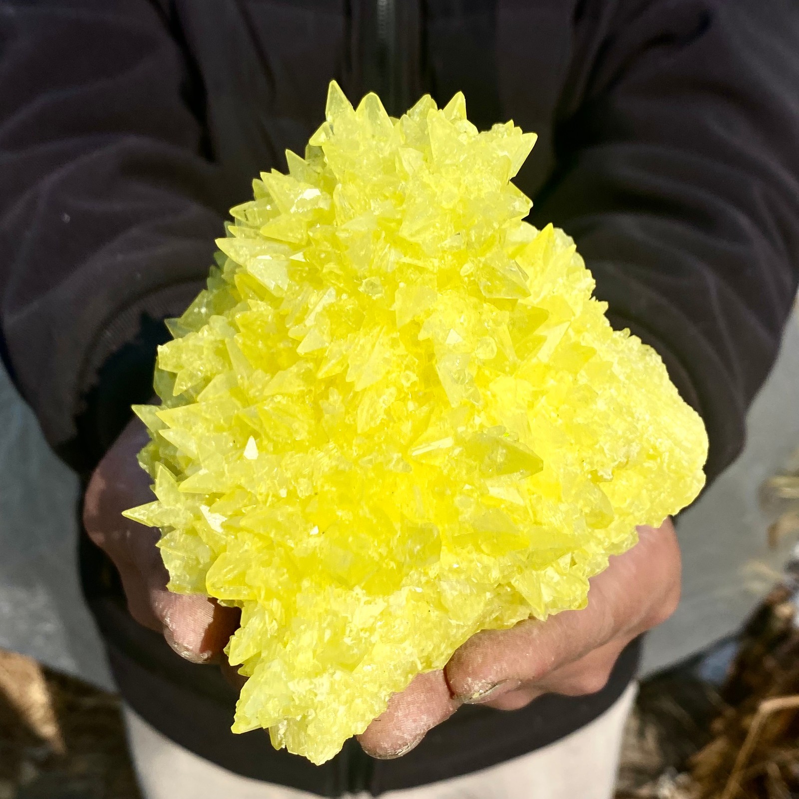 1.4LB Minerals ** LARGE NATIVE SULPHUR OnMATRIX Sicily- FREE.