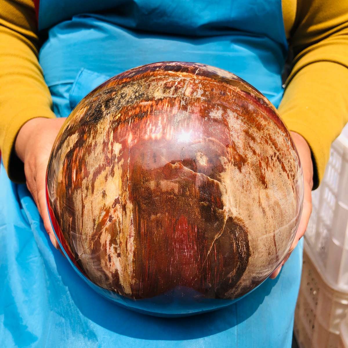 16.1LB Rare Natural Petrified Wood Ball Crystal Quartz Mineral Healing 4708