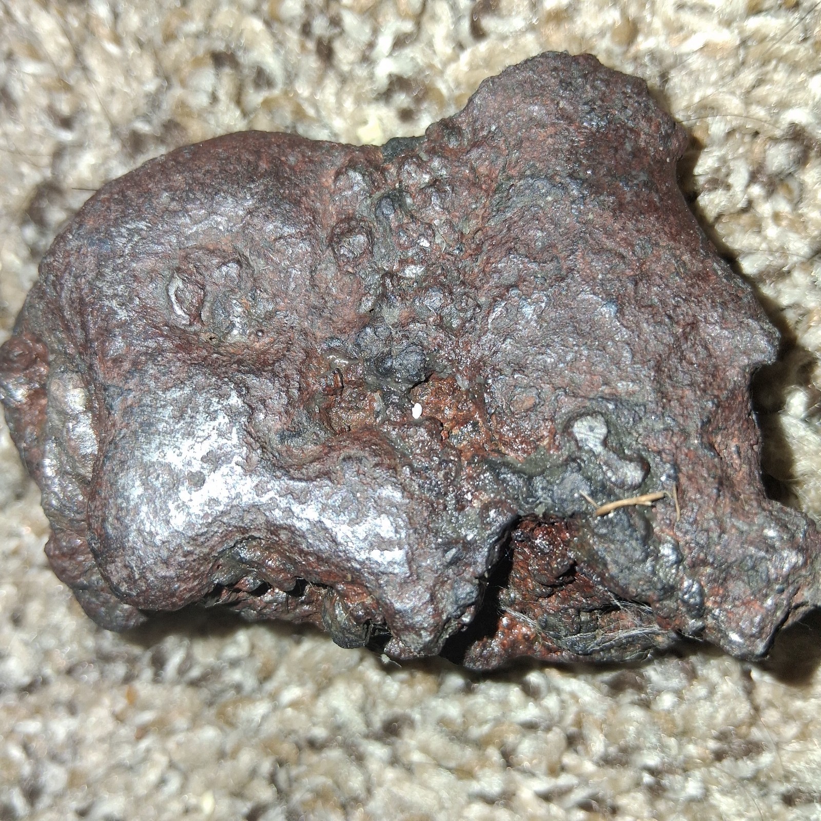 Meteorite