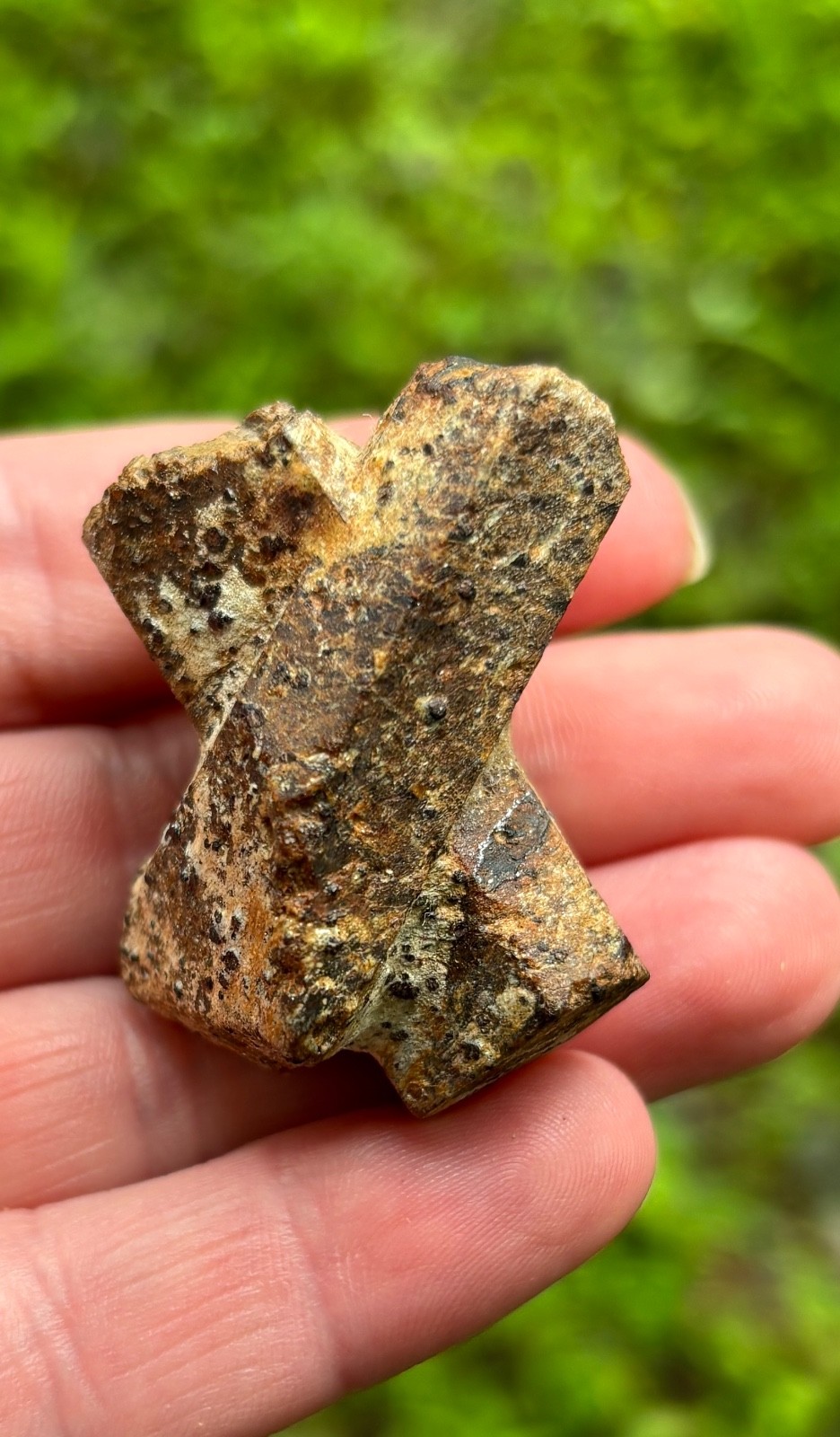 Staurolite Crystal Fairy Cross St Andrew’s Cross Fannin County Georgia 1.75”Inch