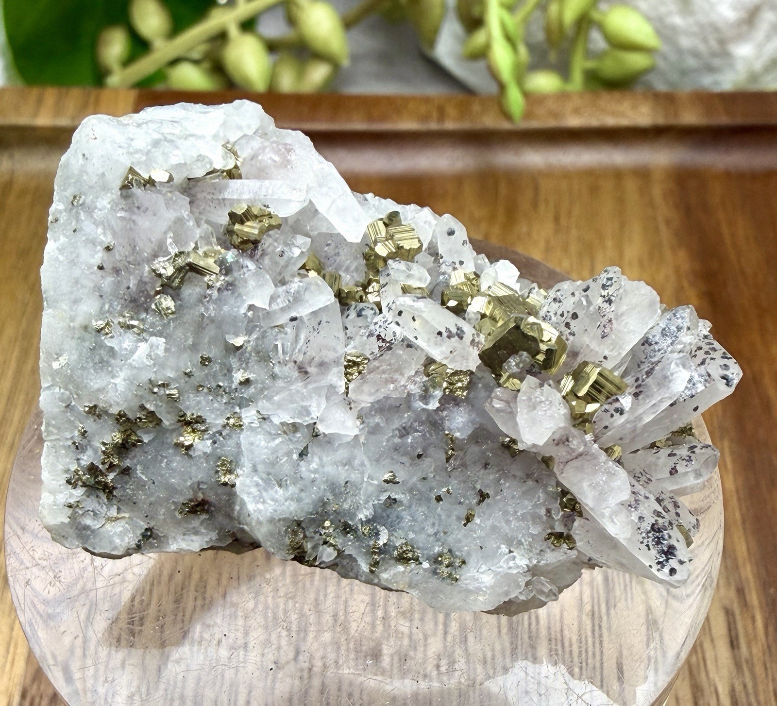 Crystal 25g Quartz W/ Specularite Inclusions & Pyrite Cluster Specimen Mineral