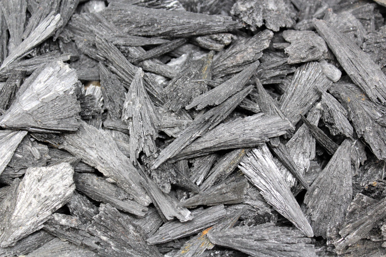 Black Kyanite Blades: Premium Quality Chunky Natural Rough Kyanite Flat Box