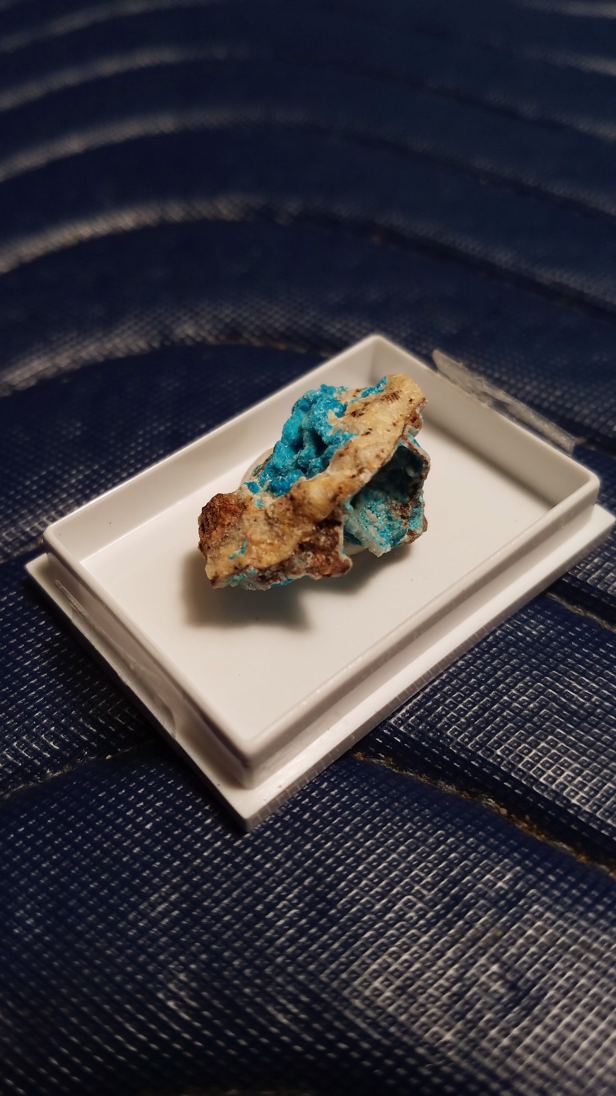 SiG: Blue-Green Greenish-Blue Serpierite Crystals Clusters on Matrix from Greece