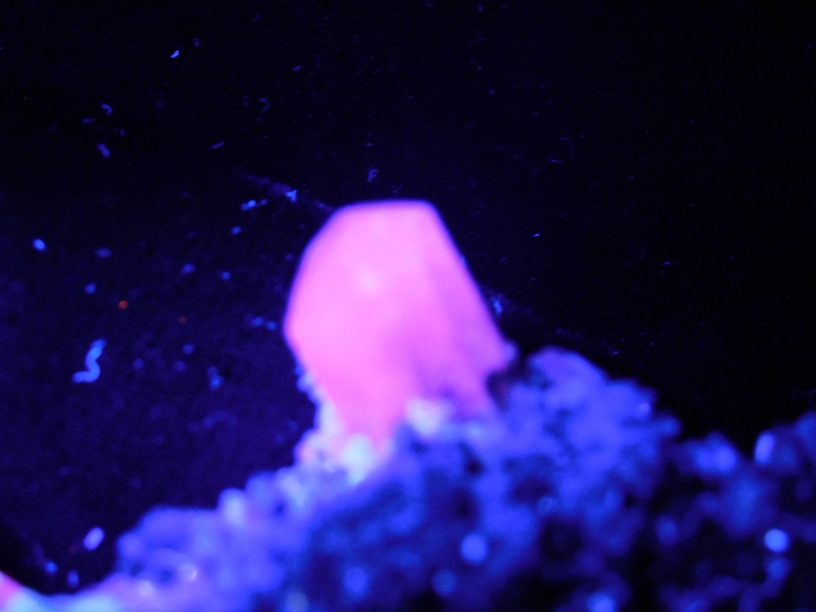 FLUORESCENT Calcite CRYSTAL Cluster on PYRITE Crystals Peru 125gr