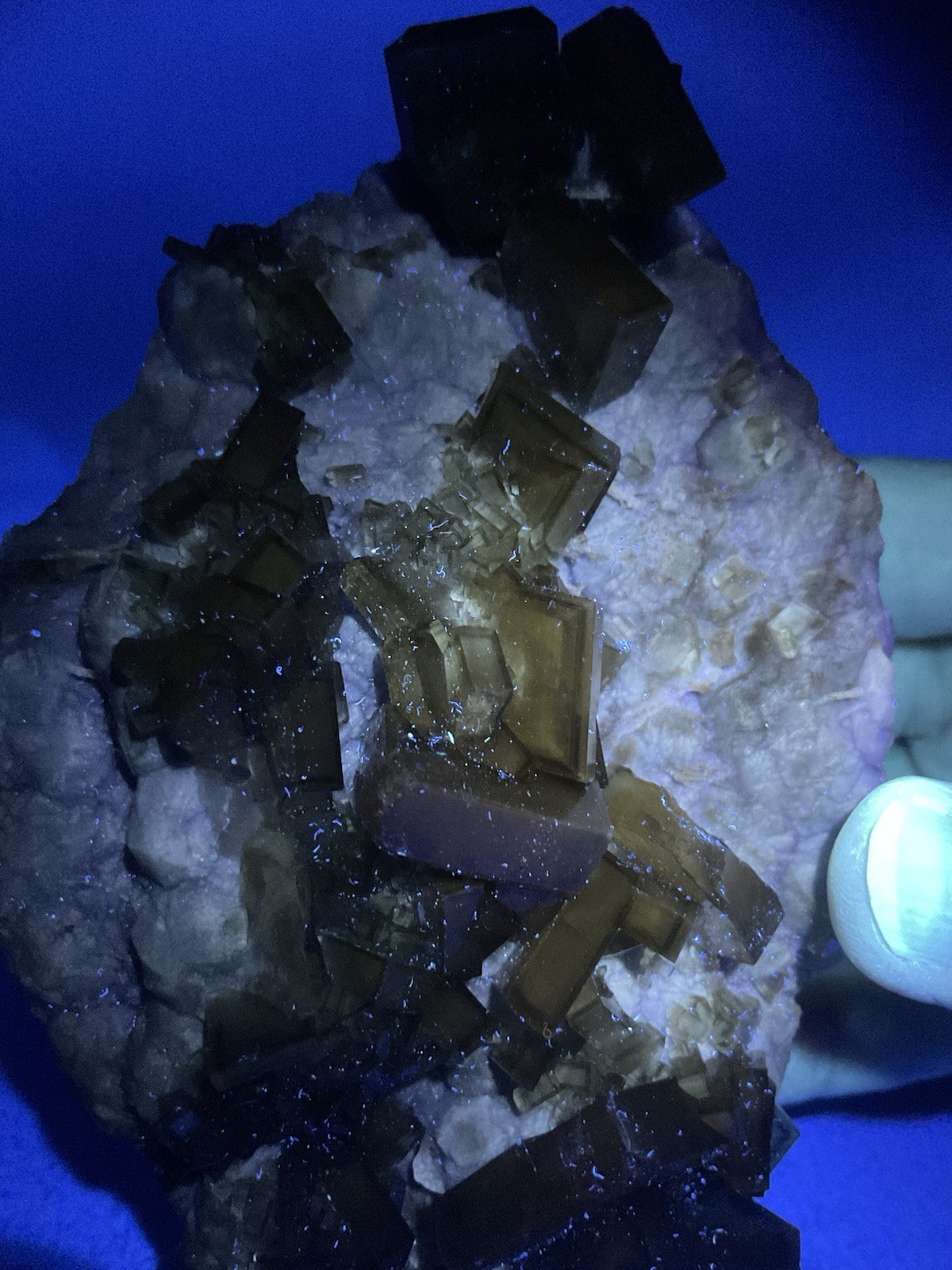 SS Rocks – Golden Barite on Fluorite (Xie Fang, Tiangxi, China) 1.42lbs