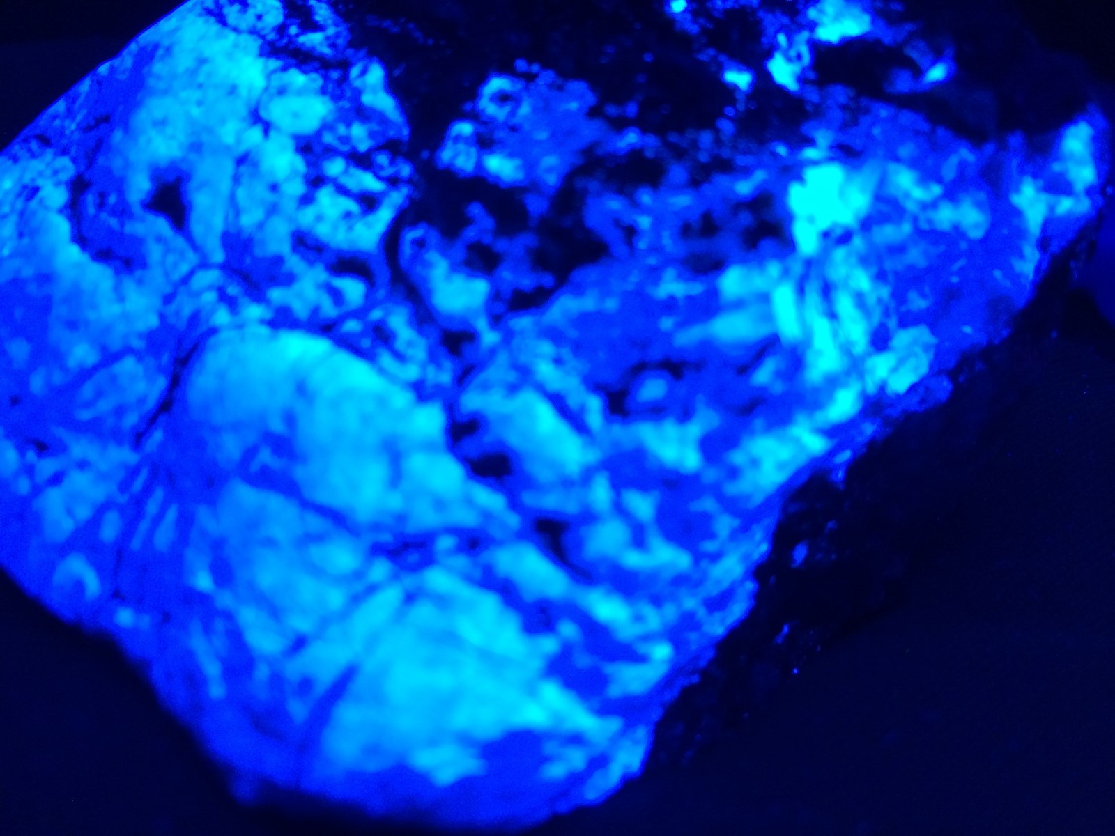 KB: DEC 2016 FANTASTIC ORE SPECIMEN SW FL. BLUE/WH SCHEELITE ANDREW MINE, CA