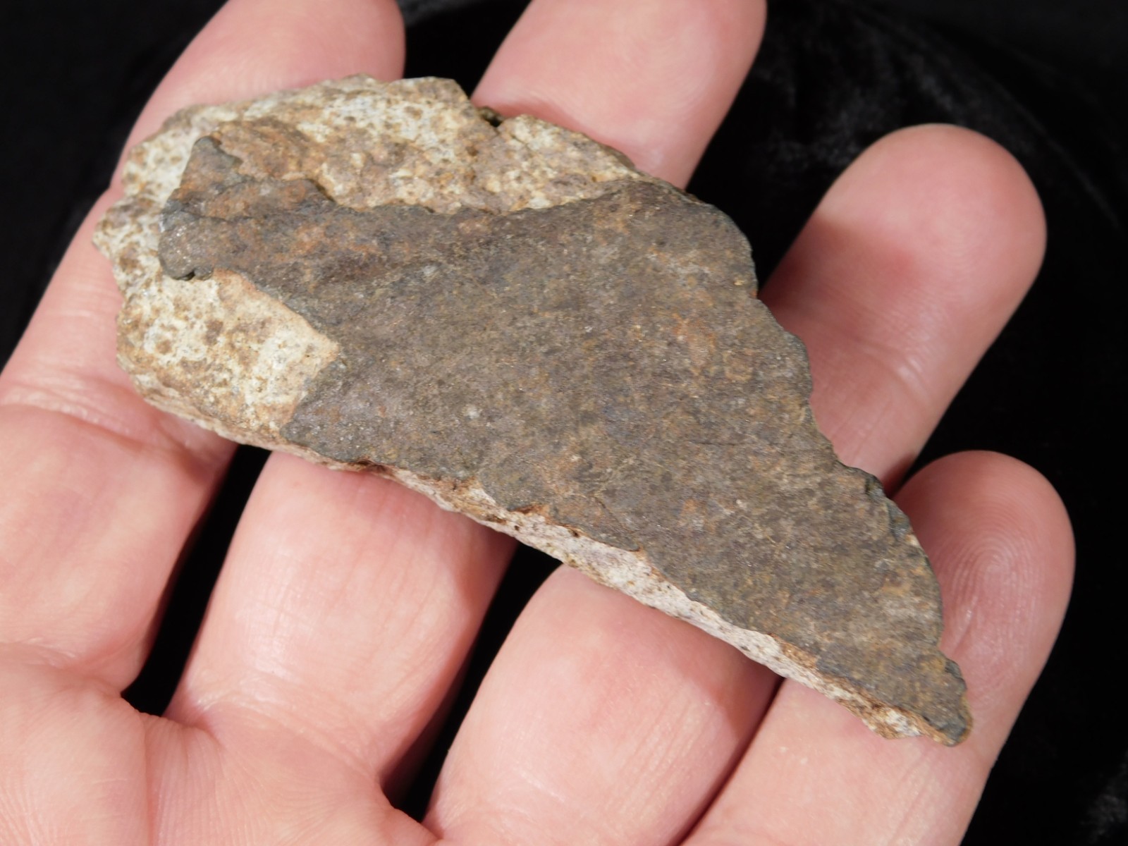 Classified NWA 8245 METEORITE Spots of Dark Fusion Crust! Erfoud, Morocco 68.7gr