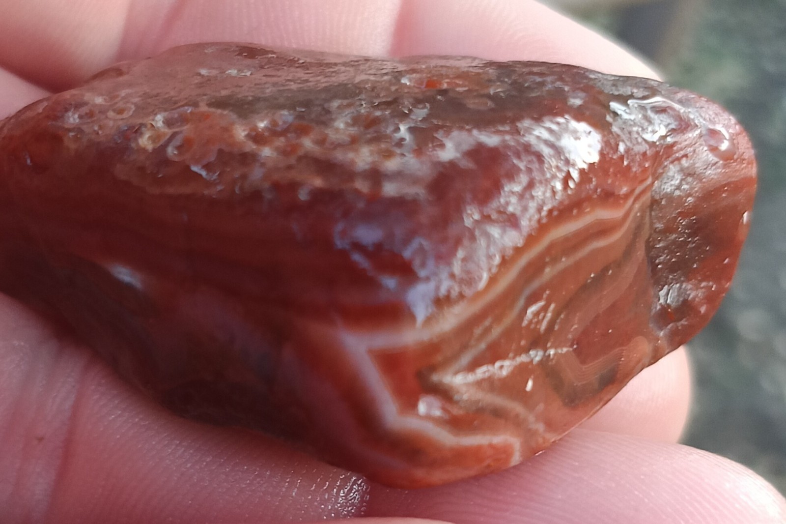 Lake Superior Agate Minnesota