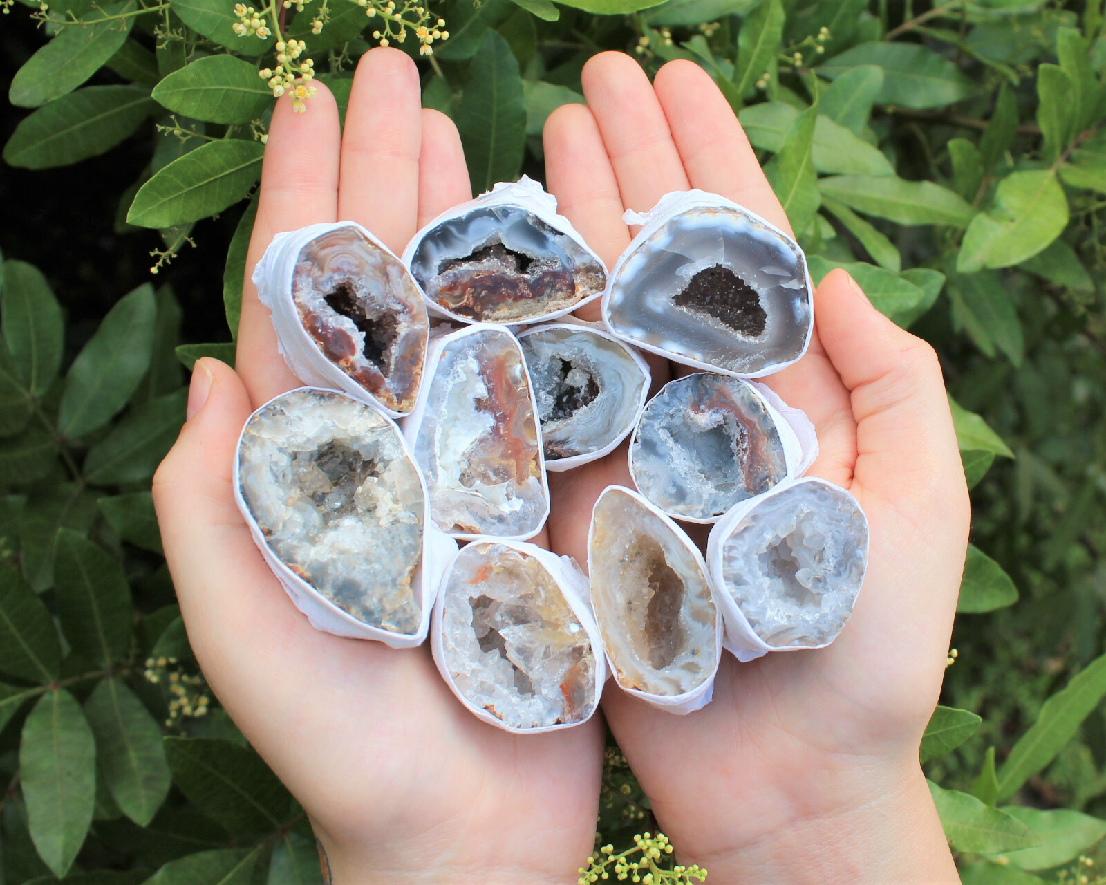 Small Oco Agate Geodes, Natural Crystal Druzy Halves, Bulk Wholesale Lots!