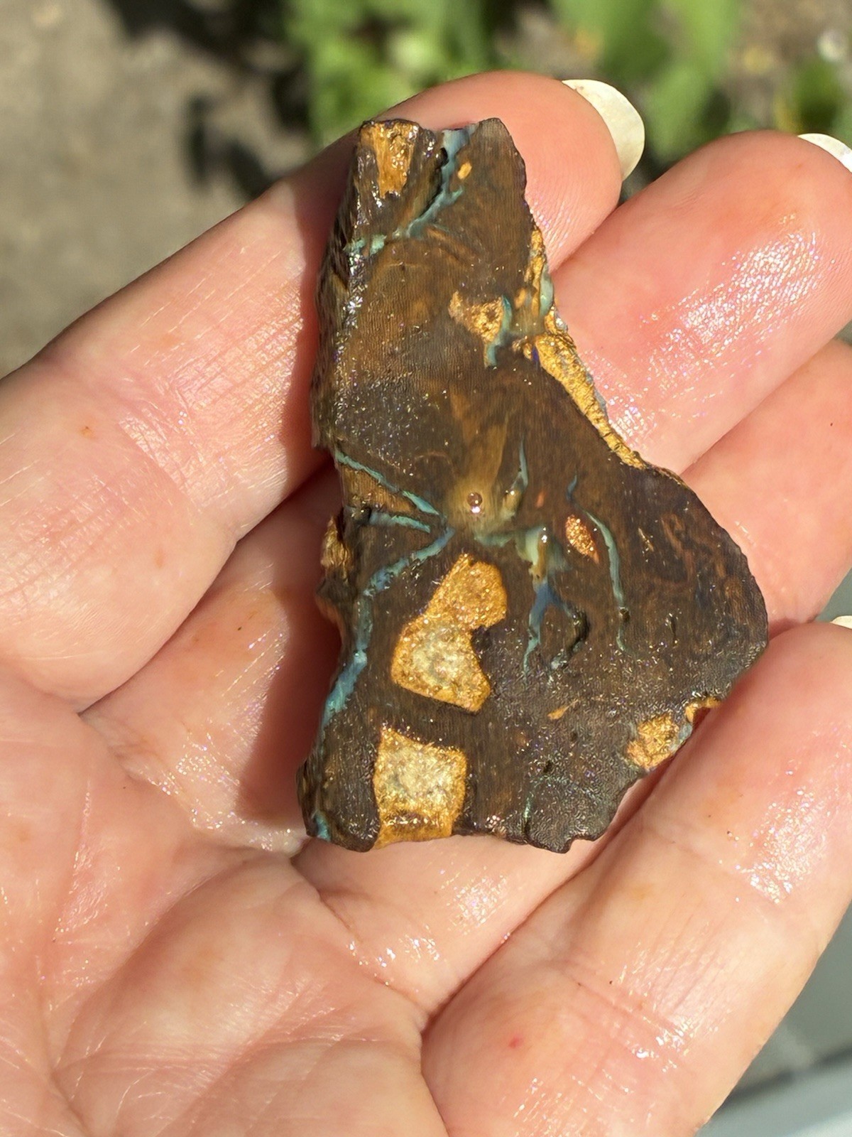 Beautiful 88ct Large Australian Boulder Opal Rough Loose Spider Specimen Green D