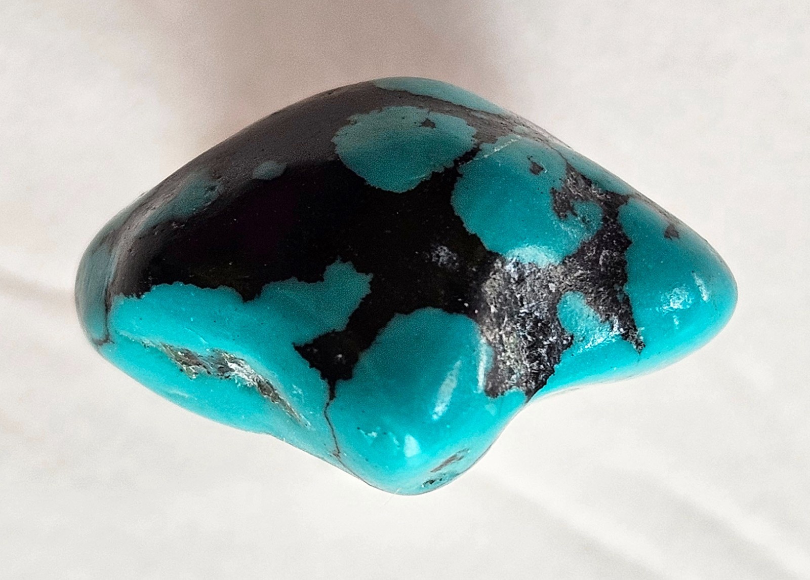 Beautiful Spider Web Turquoise