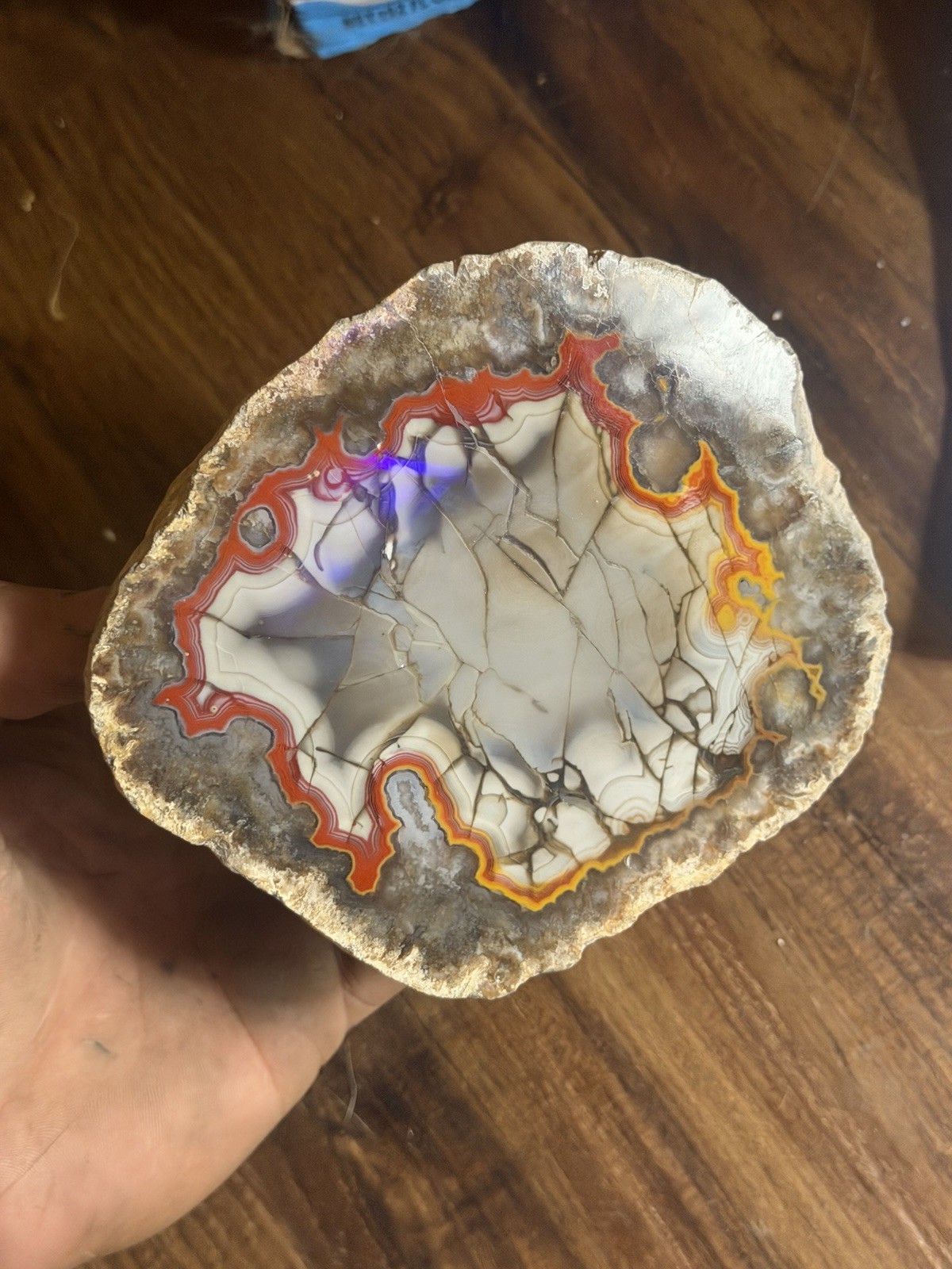 LARGE 1LB 12OZ Fire Kentucky Agate With Dark Fracture Lines Brilliant Contrast