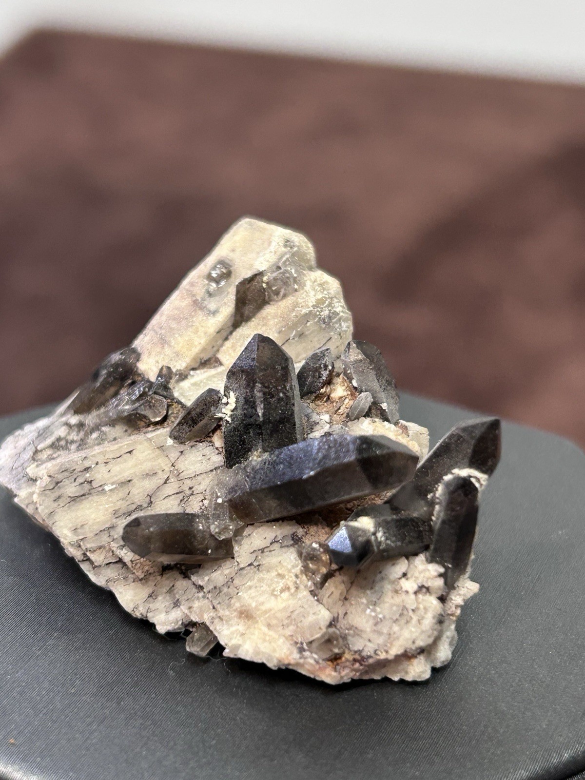Smoky Quartz on Microcline Colorado Crystal Lined Pocket Miniature Mineral