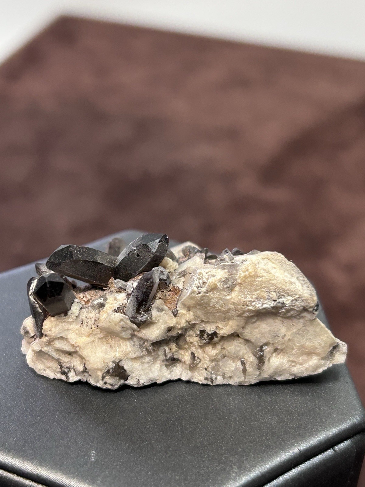 Smoky Quartz on Microcline Colorado Crystal Lined Pocket Miniature Mineral