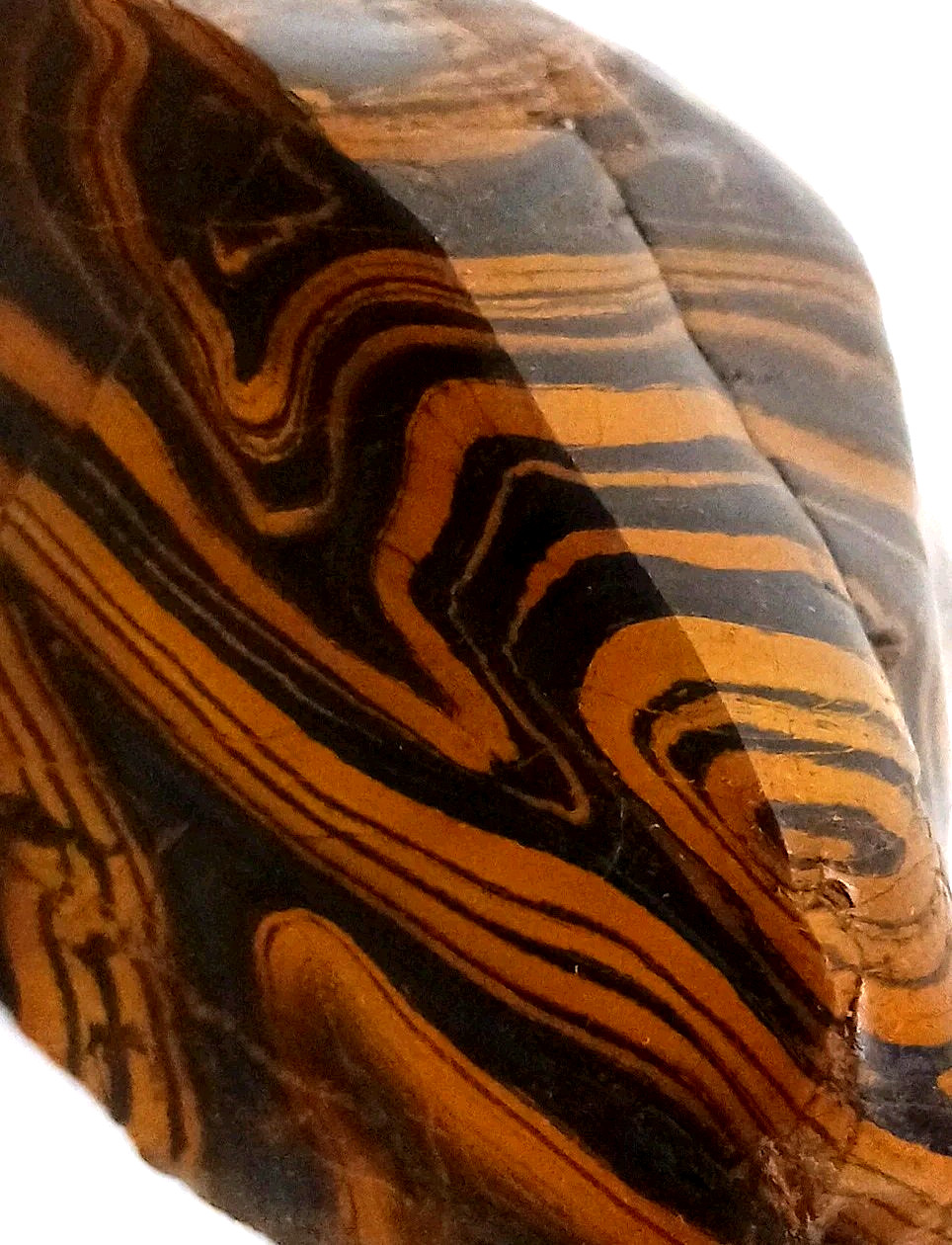 Rare Wyoming Banded Iron Formation BIF Display Rock Cut & Polished Display Tiger