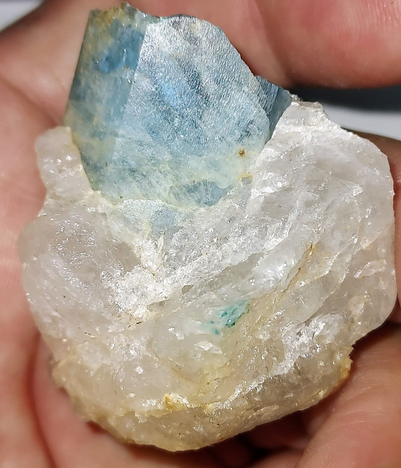 Aquamarine Beryl Crystal in Quartz Rare Minerals