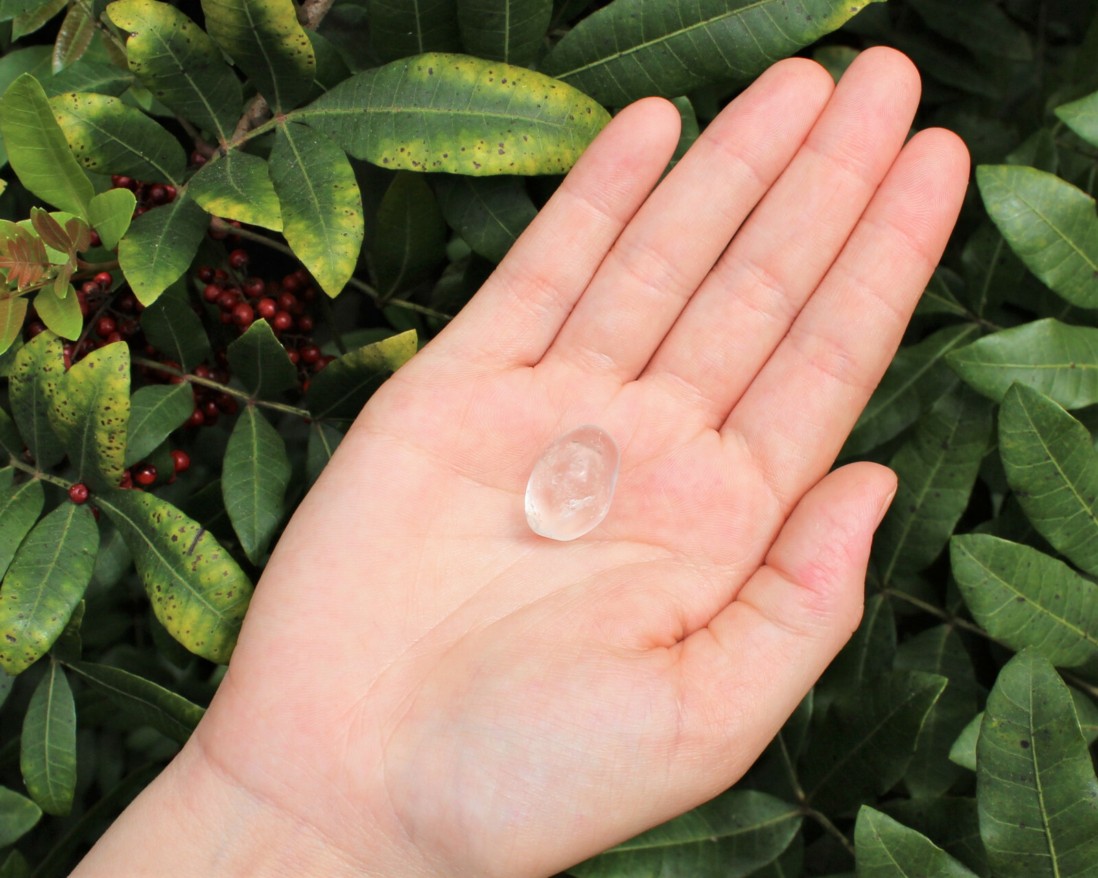 CLEAR QUARTZ Tumbled Stones: 8 oz Bulk Lot (Premium Quality ‘A’ Grade) 1/2 lb