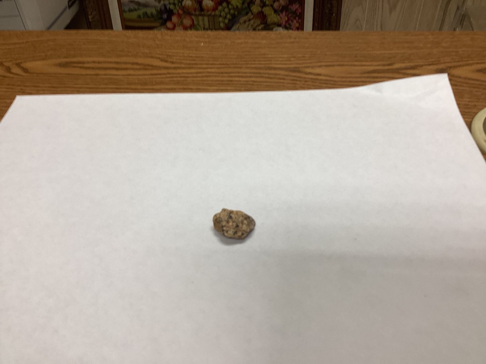 Unbranded Natural Earth-Tone Raw Rock Mineral Specimen