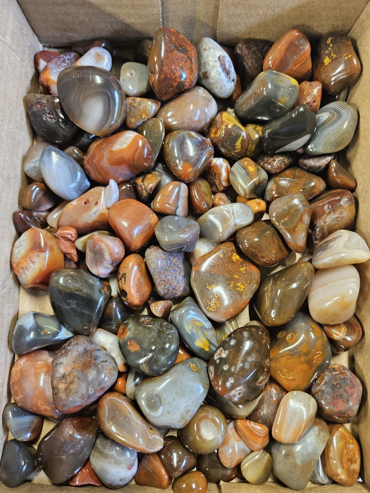 15-16 oz High Grade Tumble Polished Lake Superior Agates