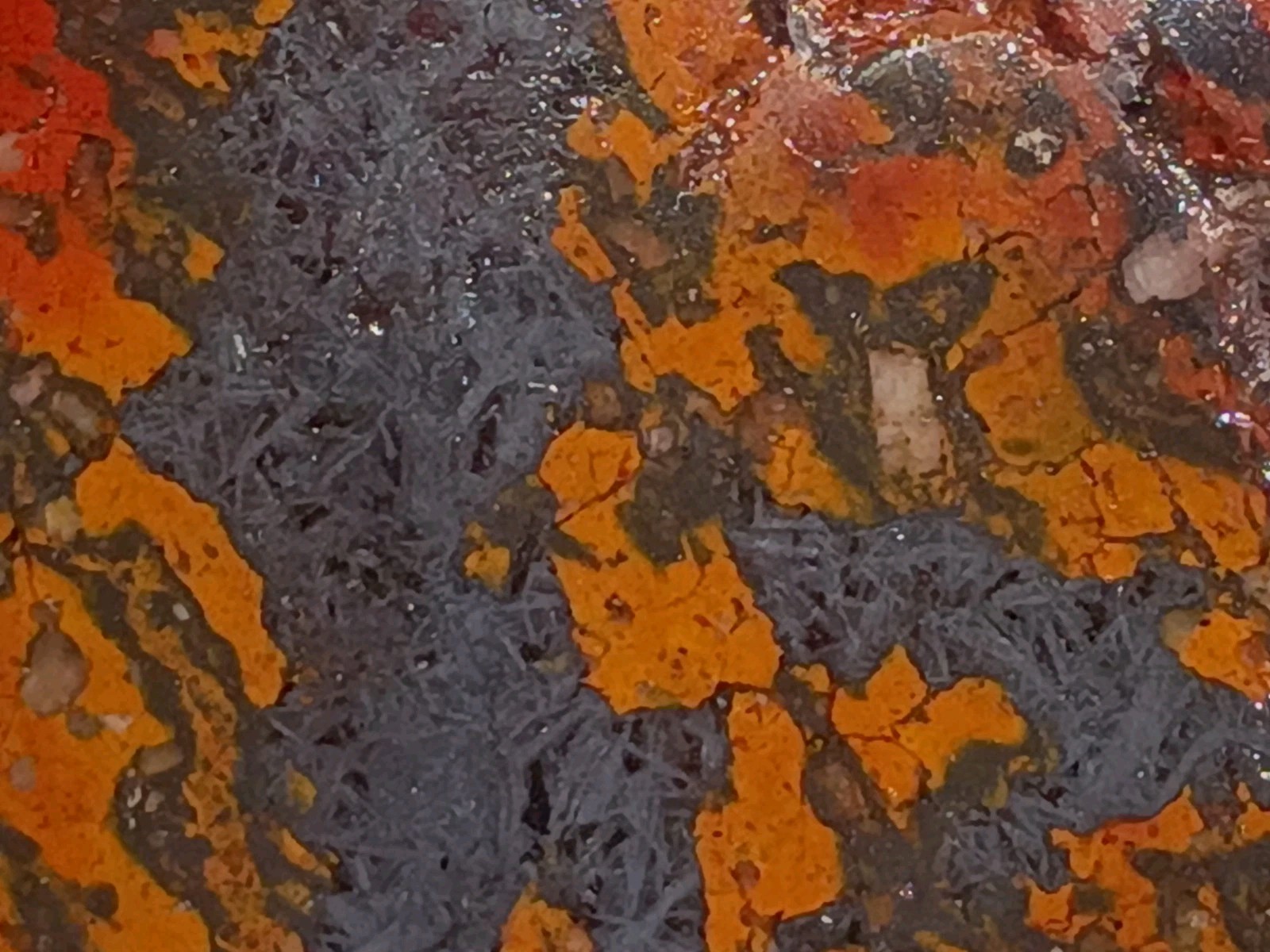 Historic Shepherds Fire Jasper Magnetite 315g Face Polished Slab Specimen MO