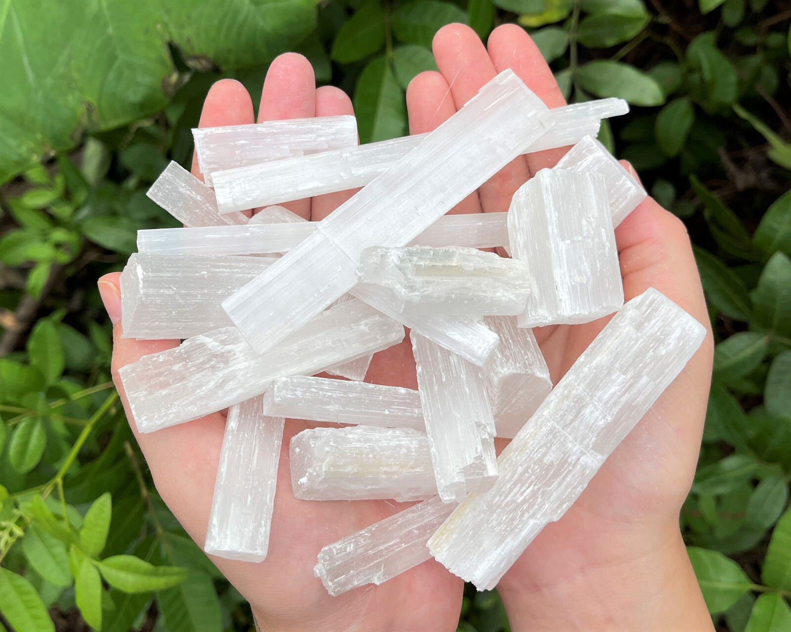 BULK 5 lb Wholesale Lot Selenite Logs Crystal Sticks Wand Blades CLEARANCE