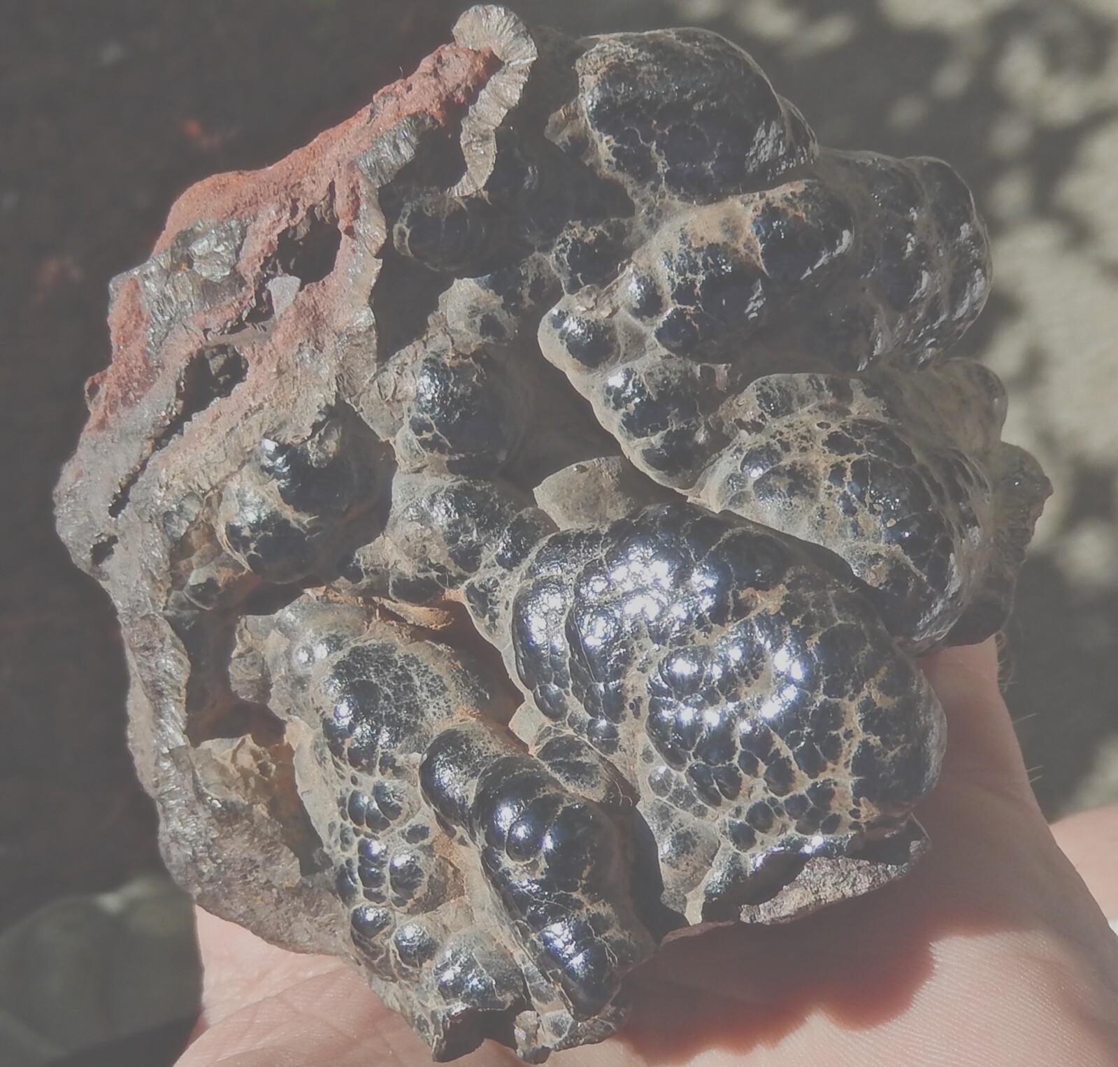 HEMATITE KIDNEY ORE FINE GRADE NATURAL BOTRYOIDAL SPECIMEN 1.26 LBS-572 GRAMS