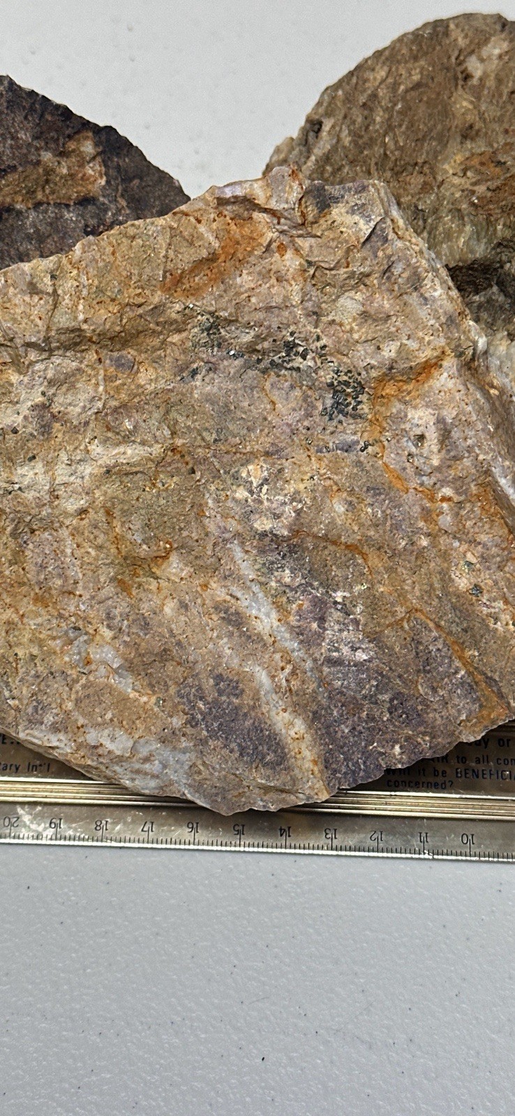 Plumas County Northern Sierra Gold Ore, Priced Right & Visible Gold + Minerals