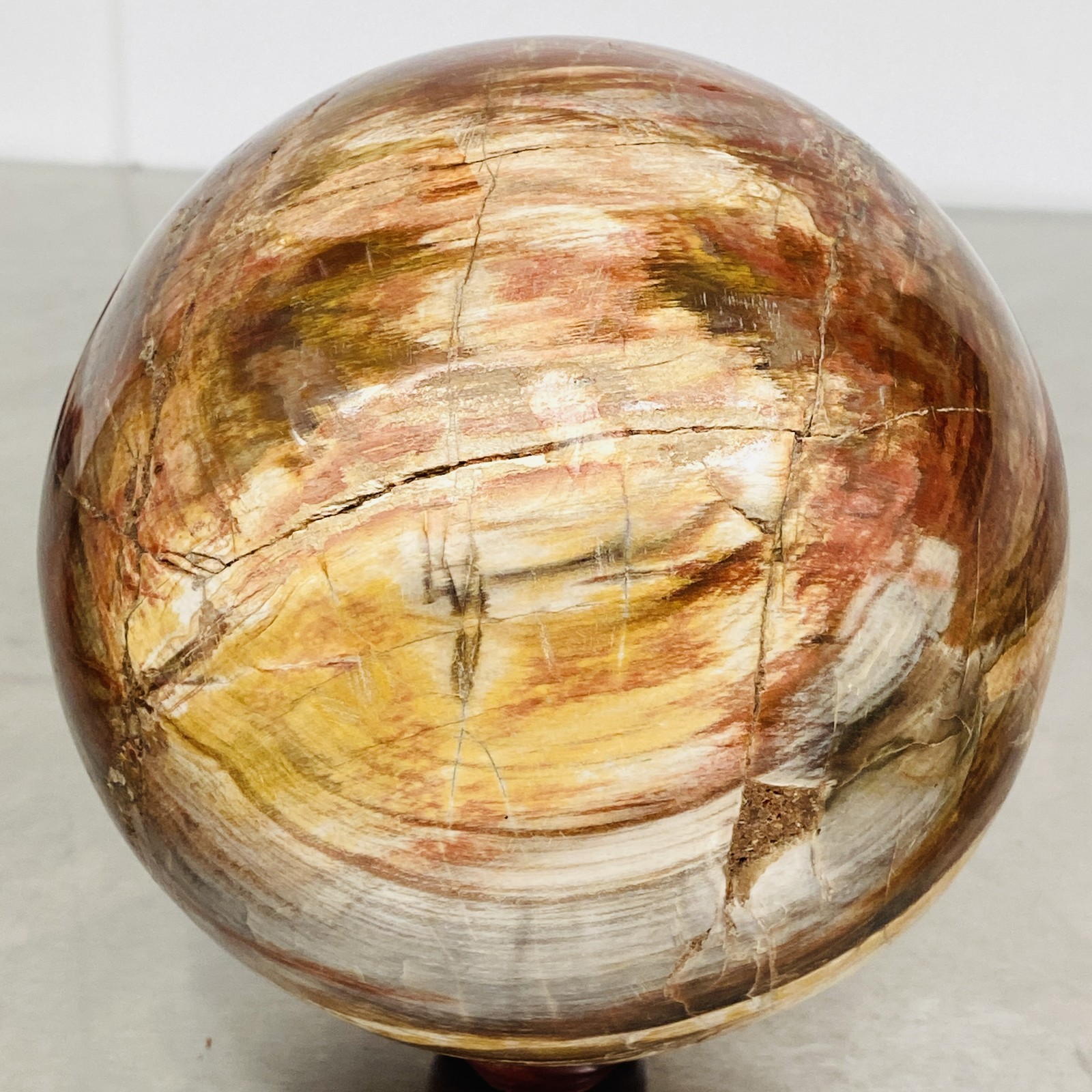 Natural Petrified Wood Polished Stone Quartz Crystal Sphere Ball Healing 3720G