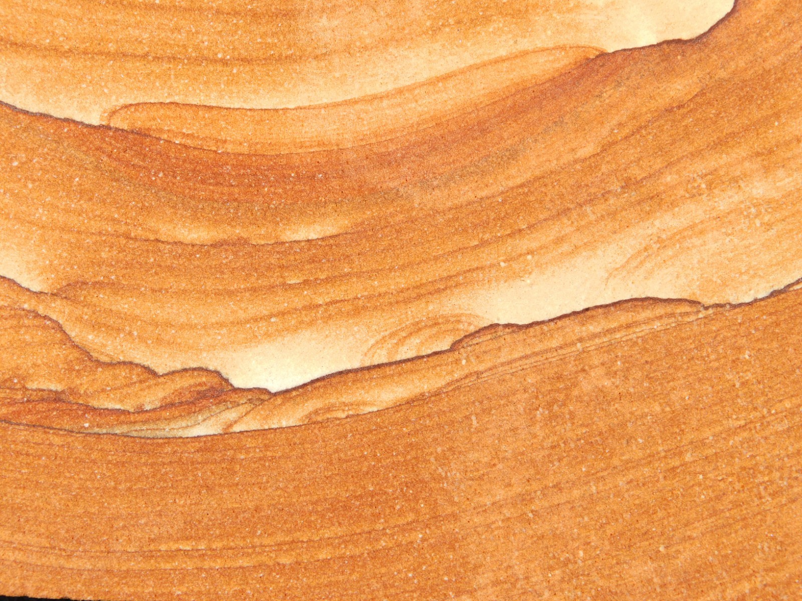 wOw! LARGER PICTURE Stone or SANDSTONE Slice/Slab with Display Stand Utah 541gr