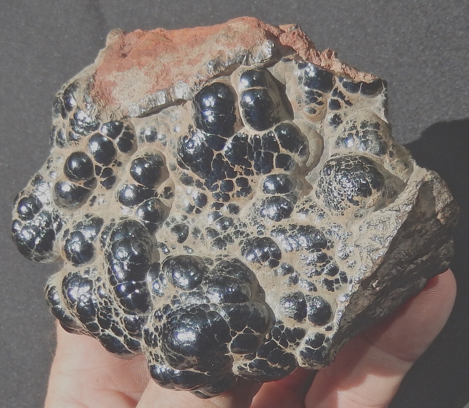 HEMATITE KIDNEY ORE FINE GRADE NATURAL BOTRYOIDAL SPECIMEN 1.26 LBS-572 GRAMS
