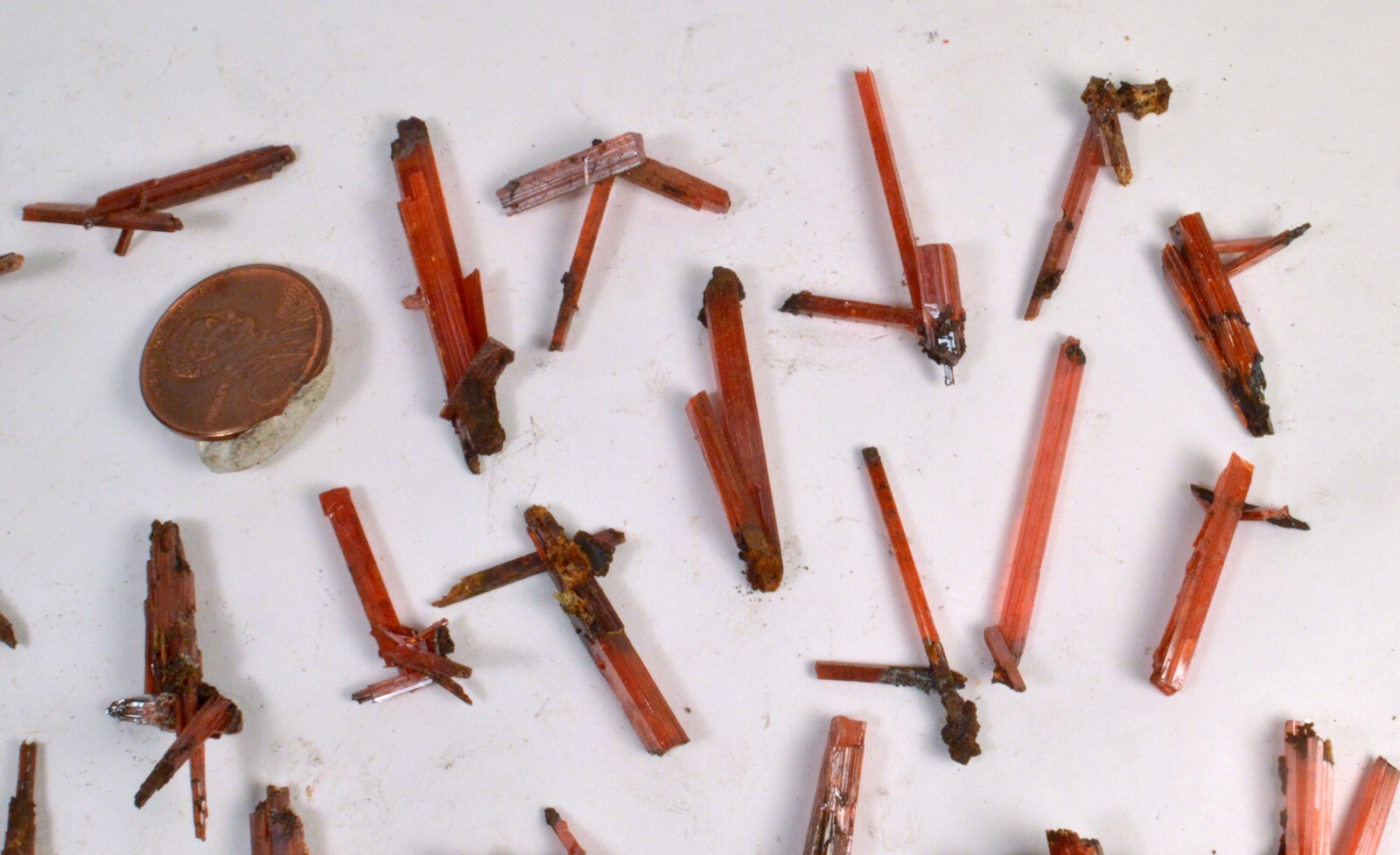 #12,249 Crocoite Clusters – Adelaide Mine, Tasmania, Australia [ONE PIECE ONLY]