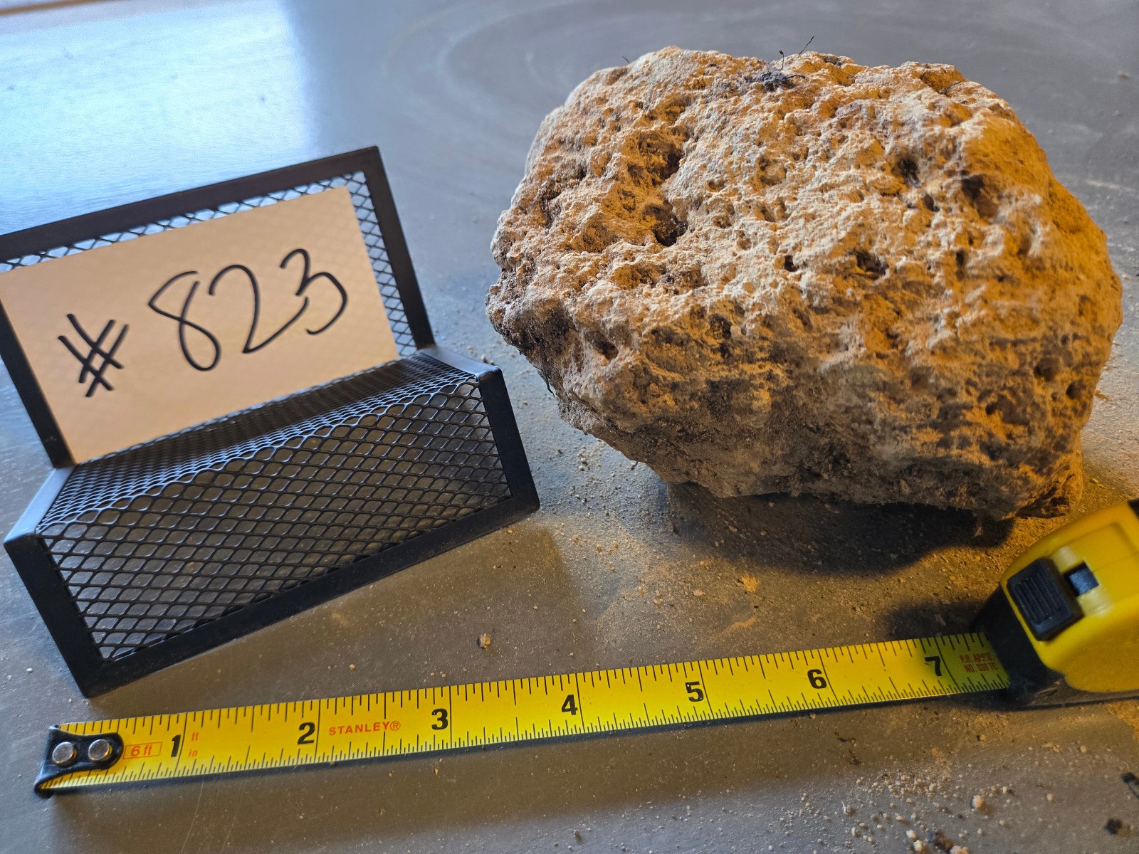 6″ Medium Pumice Stone Floating Natural Rock Carnivorous Succulent Garden #823