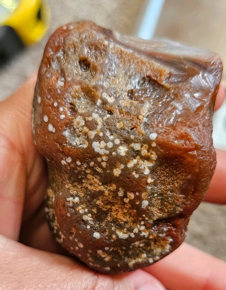Lake Superior Agate Rough Brown Red and White Banded Stone 6.18 oz