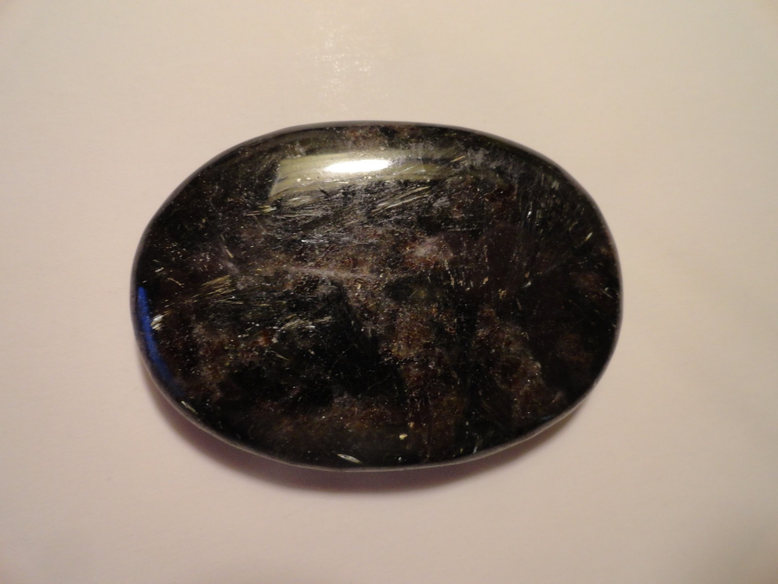 Polished Palm Stone lot